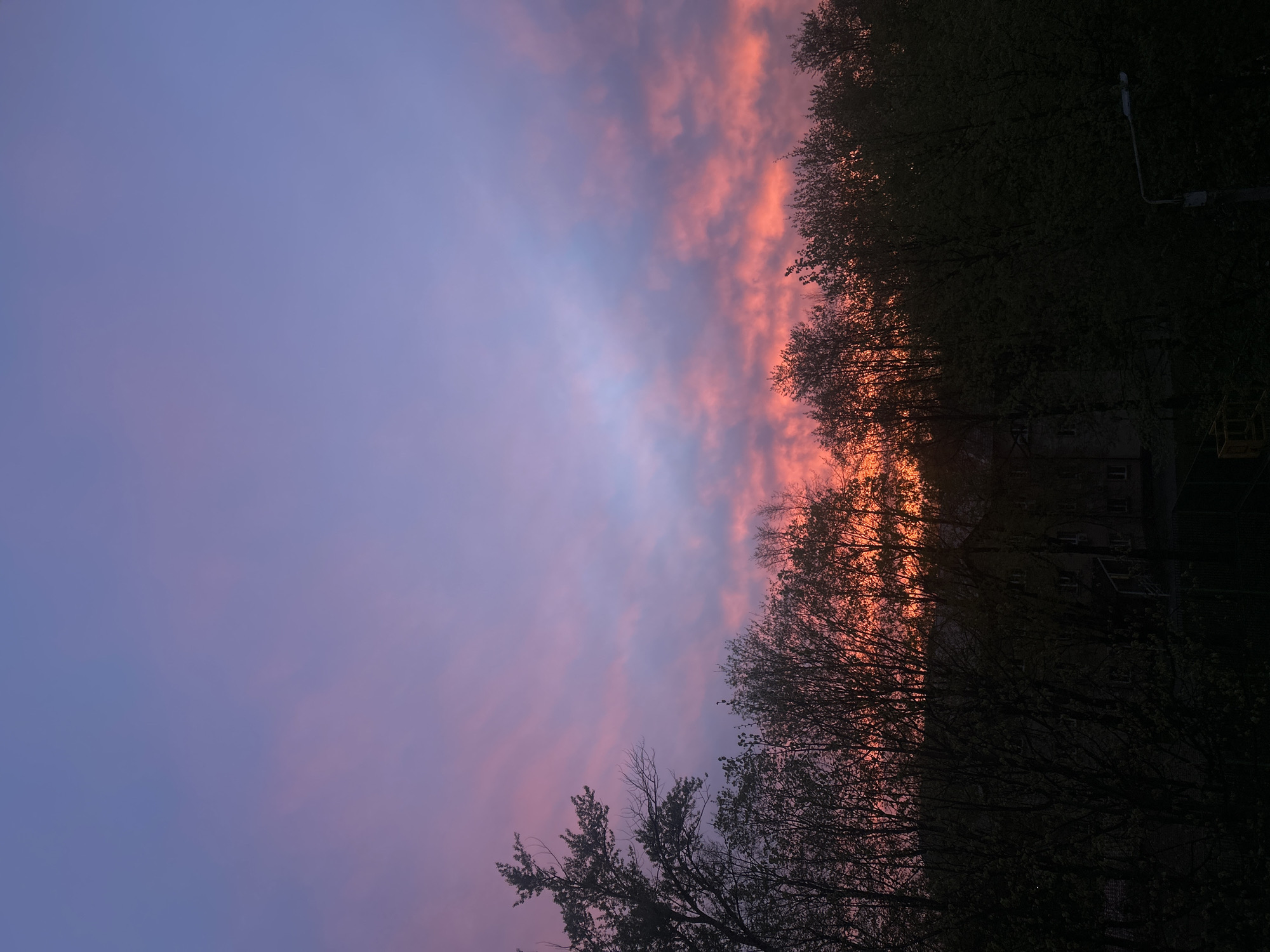 The image captures a sunset sky in Klin, Russia. The sky transitions from a deep blue-purple on the left to a vibrant mix of pink and orange towards the right, where a line of trees is silhouetted against the light. The trees obscure a building and a streetlight, visible in the darkness. The foreground trees are bare, suggesting late fall or early spring.