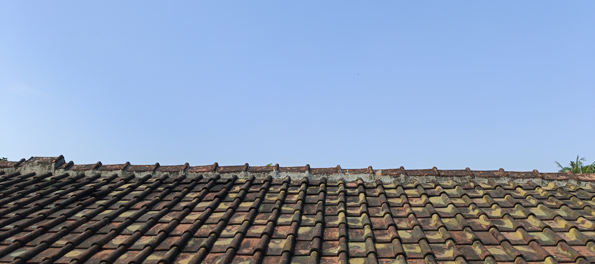 The image shows a close-up of an old, weathered tiled roof against a clear blue sky. The tiles are predominantly reddish-brown with patches of green and yellowing, suggesting age and exposure to the elements. They are arranged in overlapping rows, forming a textured surface that slopes slightly downwards from left to right. The edge of the roof has a weathered, cementitious coping with small, rounded protrusions. In the far upper right corner, the fronds of a palm tree are visible, indicating a tropical or subtropical environment. The sky is a uniform, pale blue with a single, tiny dark speck, possibly a distant bird or insect, in the upper center. The scene appears to be an exterior shot of a residential building in Moyudan, Indonesia, captured during daylight.