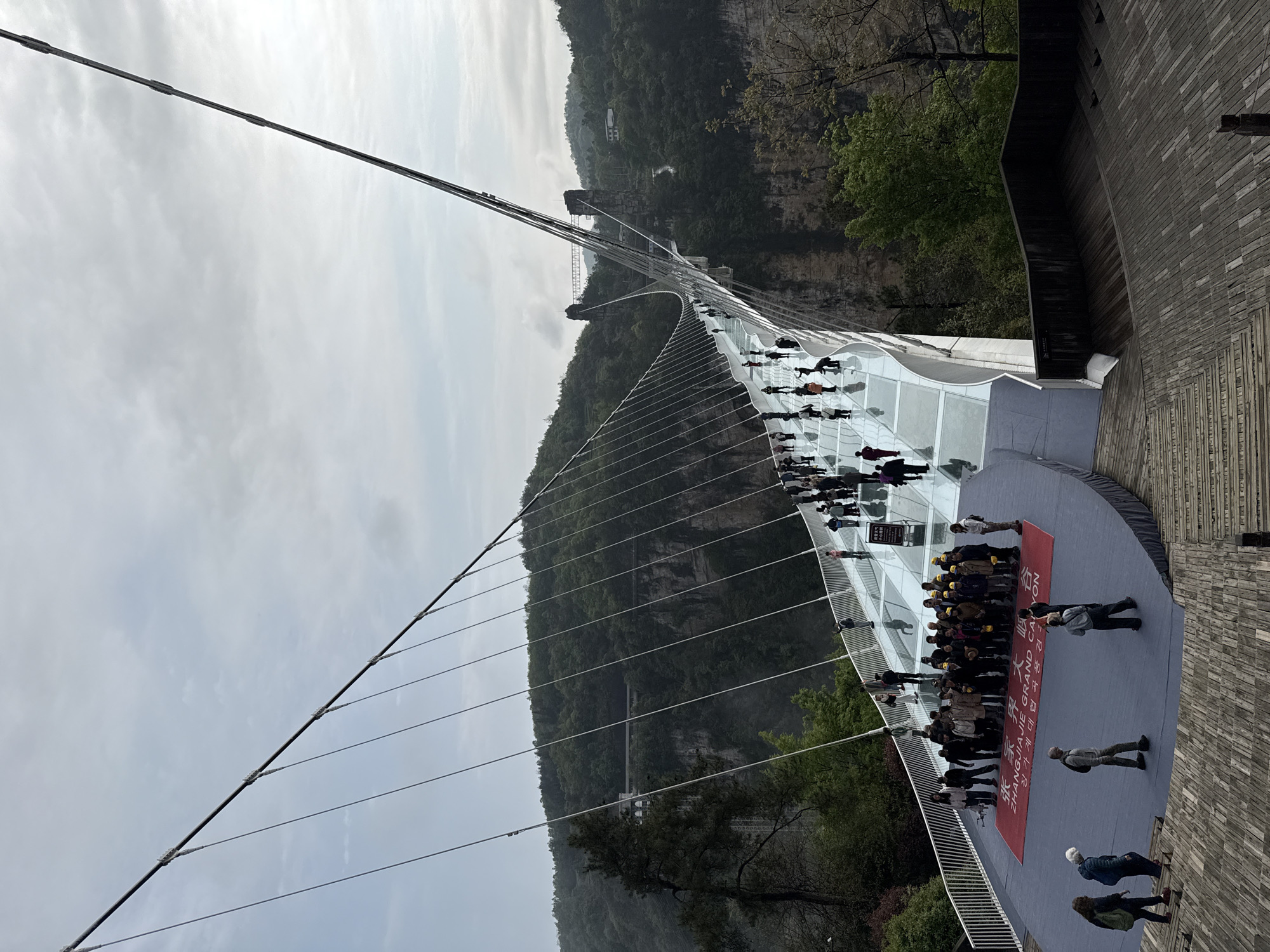 The image shows a long, glass-bottomed bridge spanning a deep gorge, likely in the Zhangjiajie Grand Canyon of China. The bridge is supported by suspension cables anchored to towers on either side of the canyon. The bridge is crowded with people, many of whom are posing for a group photo on a red carpet placed at one end. The surrounding landscape consists of steep, forested mountains and a cloudy sky. The bridge structure appears modern and well-maintained.