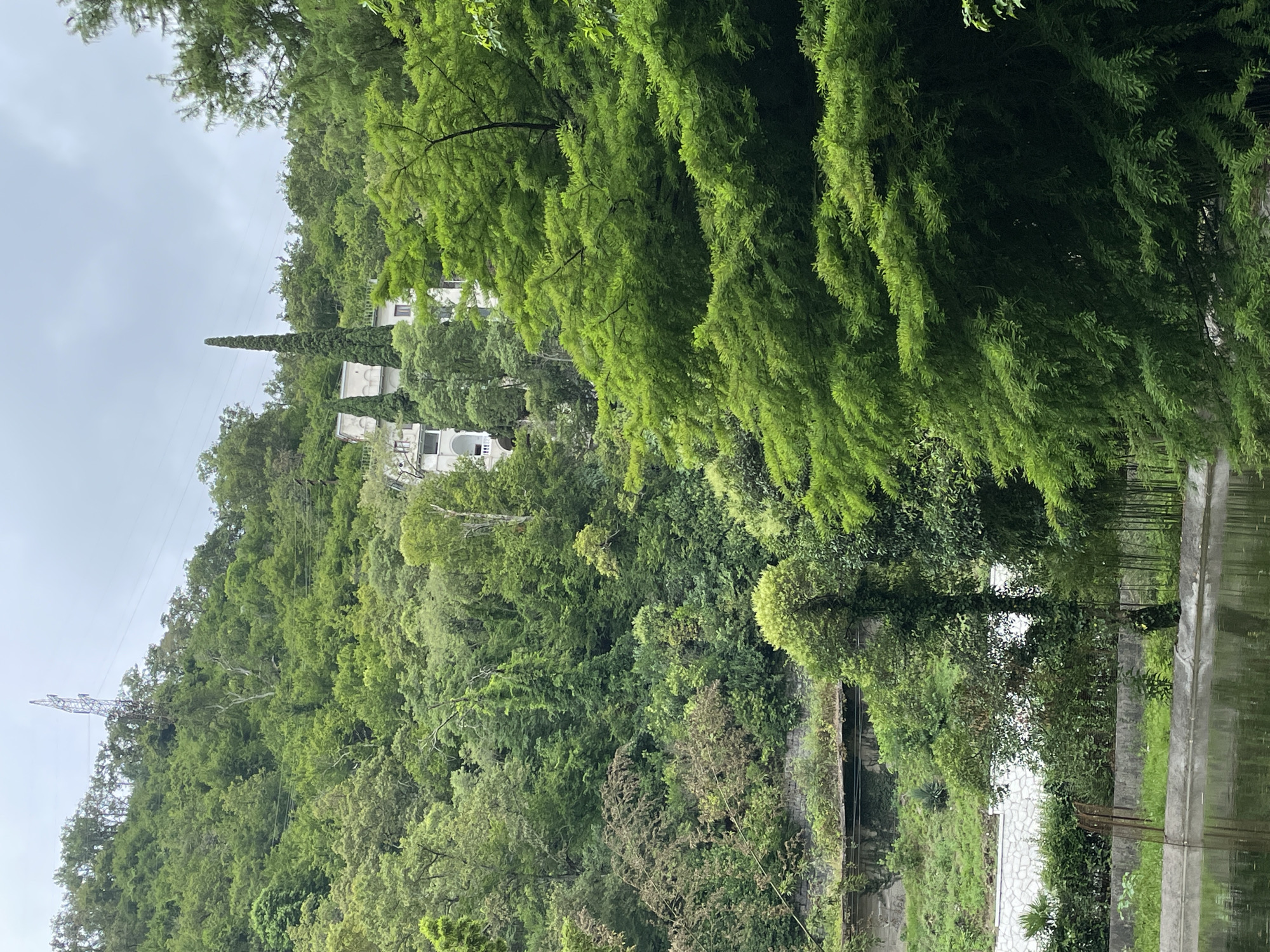 The image shows a lush, green hillside in Abaata, Abkhazia. The hillside is densely covered with trees and vegetation. In the middle ground, a white building with multiple levels and balconies is visible, partially obscured by the trees. Two tall, slender cypress trees stand near the building. A power transmission tower with electrical lines is visible on the top of the hill, against a cloudy sky. In the foreground, a body of dark water, likely a pond or lake, is present with a concrete edge and a fence. Some of the vegetation in the foreground is lighter green and feathery, contrasting with the darker, denser foliage on the hillside.