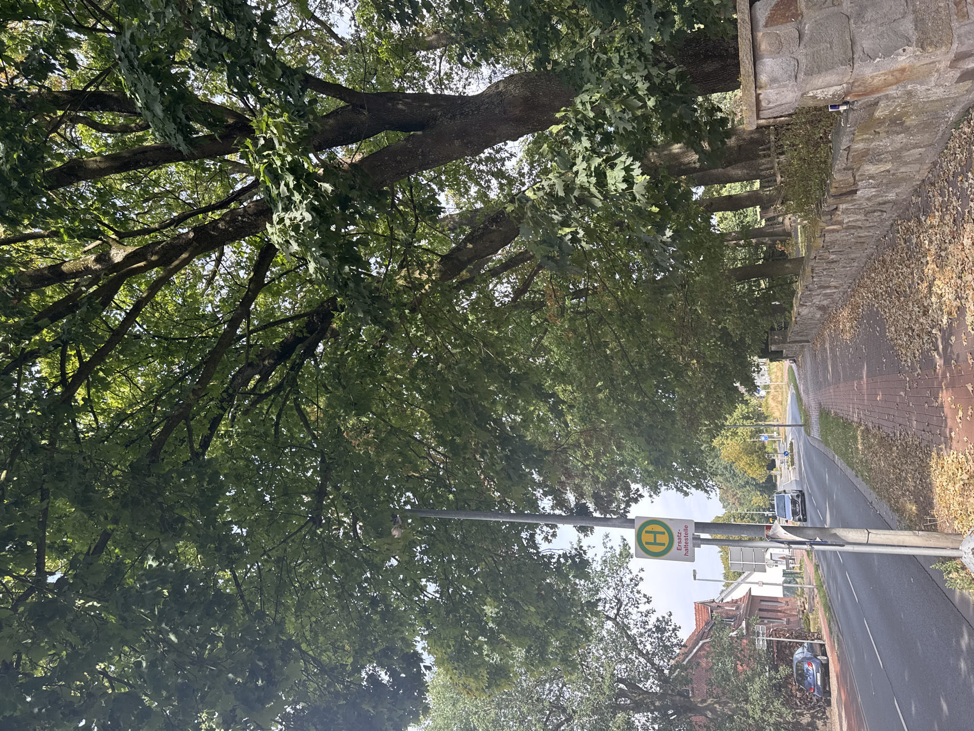 The image depicts a street scene in Rheine, Germany, likely during autumn, as evidenced by fallen leaves on the sidewalk and road. A bus stop sign with the letter "H" and the text "Ersatzhaltestelle" (temporary bus stop) is visible on a lamppost. To the left, a brick house with stacked firewood is situated next to a blue car parked on the roadside. A paved sidewalk runs along the right side of the street, bordered by a stone wall and lush green trees that provide ample shade. A few cars are seen on the road, and the overall environment suggests a residential or suburban area.