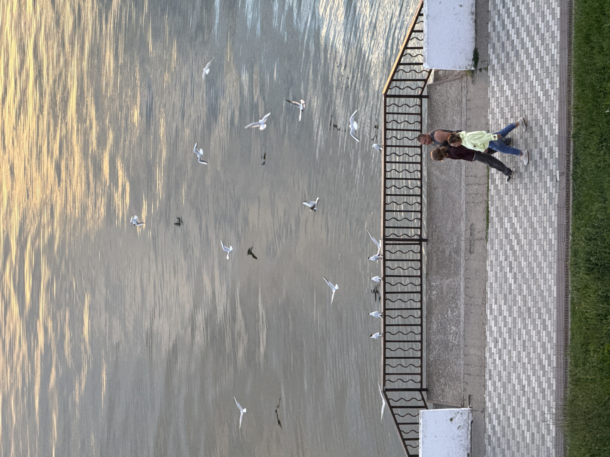 The image captures a scene at the embankment of the Votkinsk Reservoir in Votkinsk, Russia. The reservoir's surface reflects the golden hues of the sky, suggesting it is either sunrise or sunset. Seagulls are visible flying in various positions over the water, with some also perched on a black metal railing that delineates the walkway from the water.
In the foreground, a paved walkway with a diamond pattern of grey and white tiles runs parallel to the embankment. On this walkway, three individuals are walking. Two of them appear to be adult females, one wearing a light yellow hooded sweatshirt and blue jeans, and the other a dark maroon sweatshirt and dark pants. They are walking together, with the person in the yellow sweatshirt slightly ahead. Behind them, an adult male wearing a dark sleeveless shirt is walking. The three individuals are moving from left to right in the frame.
To the left of the walkway, a white concrete structure, possibly a wall or planter, is partially visible. Beyond the walkway, a strip of green grass can be seen. The black metal railing, with its decorative, wavy bars, forms a boundary between the paved area and the water. The overall scene depicts a tranquil, outdoor environment, likely a popular spot for recreation.