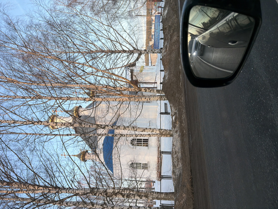 The scene depicts a white Orthodox church in Полозово, Russia, viewed from a vehicle. The church features multiple golden onion domes topped with crosses, and one prominent blue dome, all partially visible through a dense array of bare-branched birch trees. The church property is enclosed by a black metal fence, behind which the ground is covered in snow. In the immediate foreground, a dark asphalt road runs horizontally, bordered by a low embankment composed of dirty snow and earth. The black side rearview mirror of the capturing vehicle is visible in the lower right corner, reflecting a light-colored sedan with illuminated headlights approaching from the rear. To the right of the church, in the mid-ground, a blue banner with white Cyrillic text is discernible. The sky above is clear and pale blue, indicating daylight conditions during winter or early spring. No individuals are visible.