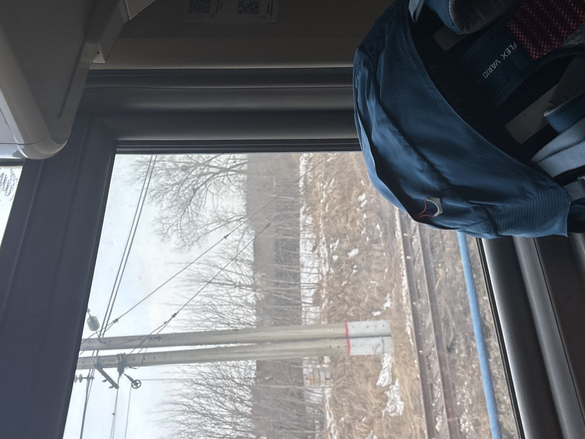 The image presents a view from inside a moving vehicle, likely a train, looking out a window at a landscape near Usolye-Sibirskoye, Russia. The exterior scene depicts two parallel railway tracks, partially covered by scattered snow and surrounded by dry, light-brown vegetation, characteristic of late winter or early spring. A tall, twin concrete utility pole with a red marking at its base stands prominently to the left of the tracks, supporting multiple electrical or communication wires that span across the frame under an overcast sky. Behind the railway and utility pole, a dense thicket of bare deciduous trees is visible, with a dark, indistinct line of a distant structure or heavier tree line in the background. Inside the vehicle, the lower right foreground is occupied by a blue, textured backpack, partially obscuring the interior. The text "FLEX VARIO" is legible on a strap of the backpack, which also features a small red loop and a white clip. A blue horizontal bar is visible along the bottom edge of the window frame. The upper right interior section reveals a curved, light-colored overhead panel and a vertical wall featuring two partially visible QR codes printed on paper. No individuals are directly depicted.