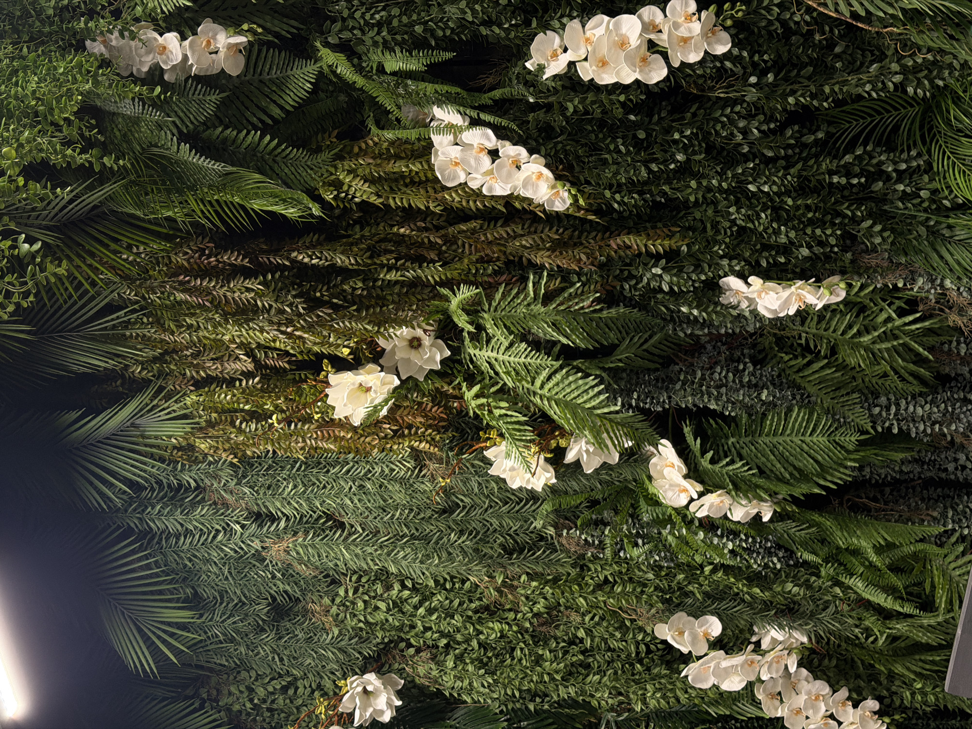 A detailed, forensic, matter-of-fact description of the image is as follows:
The image shows a lush, vertical wall adorned with an assortment of artificial plants, predominantly various types of ferns and trailing vines. Interspersed among the greenery are several clusters of white orchids, their petals delicate and lifelike. The lighting suggests an indoor environment, with a bright, diffused light source visible at the top left, casting soft shadows. The overall impression is of a densely planted, verdant wall, possibly a decorative feature. The scene does not depict any people, animals, or specific identifiable landmarks that would allow for geolocation to Nechkino, Russia, or any other city. The composition is focused on the texture and arrangement of the plant materials.