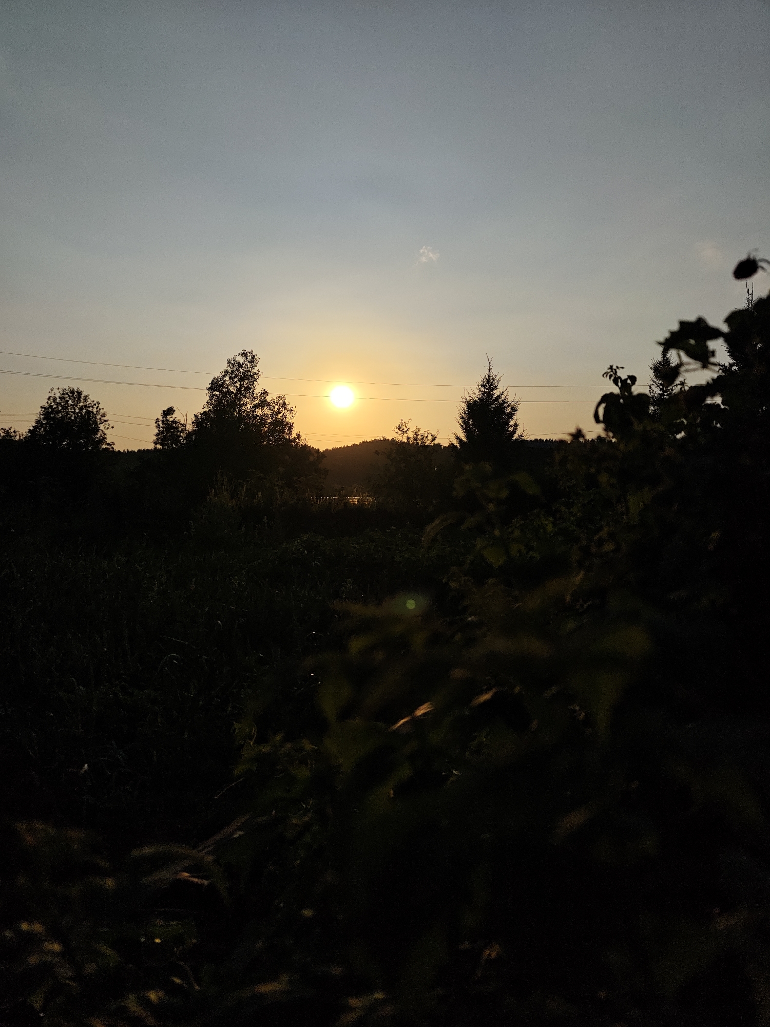 The image depicts a natural landscape at dusk, likely in the vicinity of Большой Букор, Russia. The sun, a bright orb, is low on the horizon, casting a warm glow across the sky and silhouetting the trees and vegetation in the foreground. Power lines are visible stretched across the upper portion of the frame, indicating the presence of human infrastructure. The foreground is dominated by dark, dense foliage, which obscures the ground and any potential details within it. The overall impression is one of a quiet, undeveloped natural setting at the end of the day.