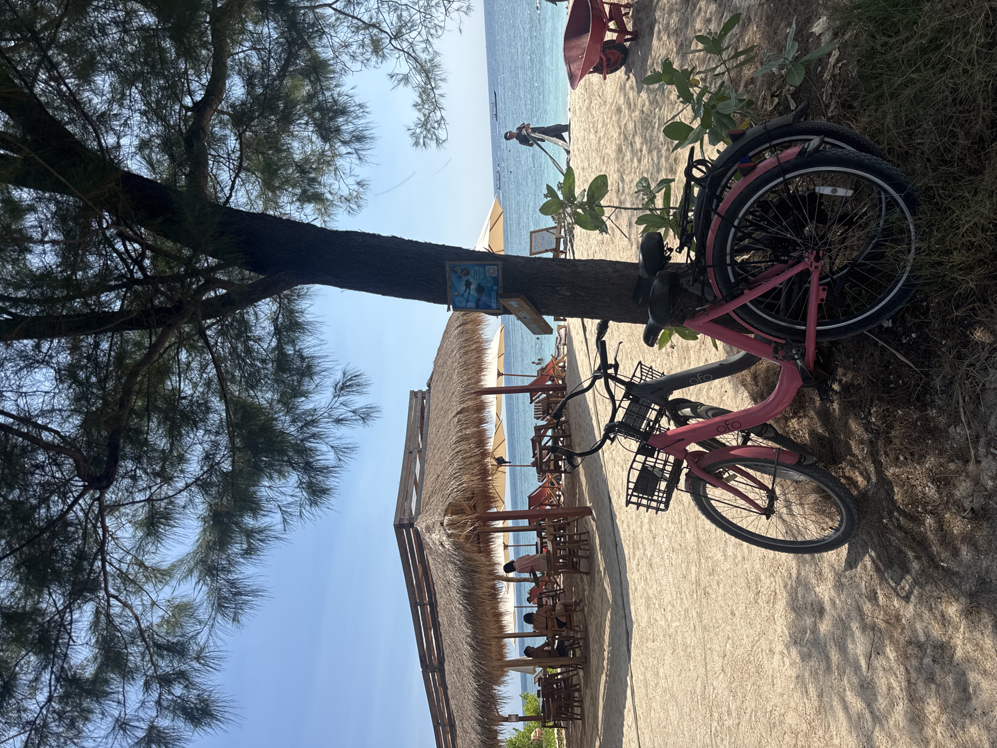 A tropical beach scene depicts a thatched-roof open-air restaurant with tables and chairs set on the sand. Several lounge chairs and umbrellas are visible near the turquoise ocean. In the foreground, two bicycles are parked under a large tree. One bicycle is pink with a black basket, and the other is dark gray. A red wheelbarrow is also present on the sand. A person is seen raking the sand near the water's edge, and several boats are visible in the distance. The sky is clear blue. The scene suggests a relaxed atmosphere in a tourist destination.