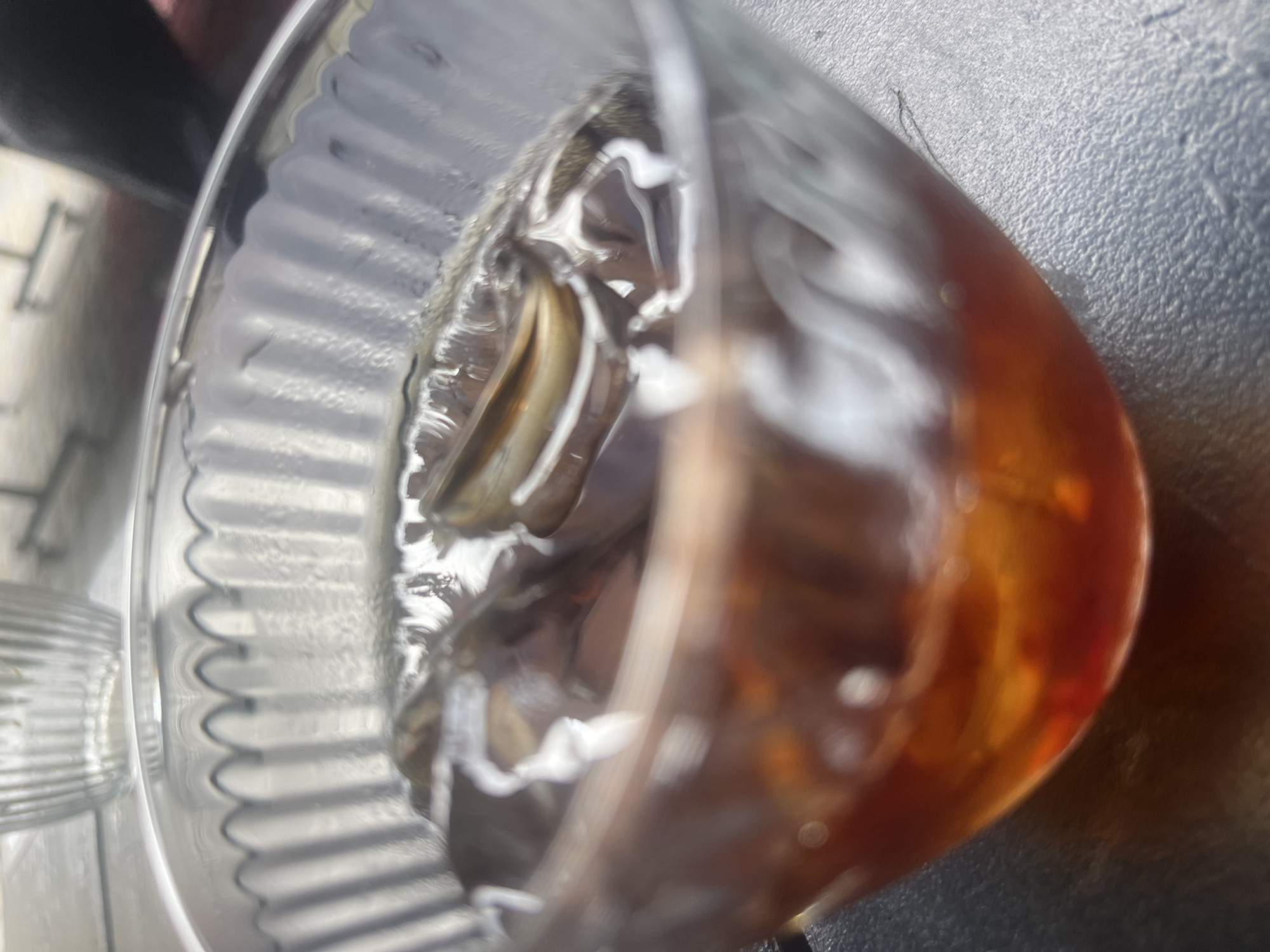 The image shows a close-up of a transparent, ribbed container, possibly a glass or plastic cup, holding a brown liquid, likely tea or coffee. Inside the liquid, a dried leaf is partially submerged, with its edges slightly curled. The leaf displays a mottled brown and grey coloration, suggesting it is old and has begun to decompose. The container itself has a ridged pattern along its side, creating a textured effect. The overall lighting suggests an outdoor setting, possibly during the day, given the ambient light reflecting off the surfaces. The background is blurred but appears to be a dark, textured surface, perhaps a table or countertop. The image is taken from a slightly elevated angle, looking down into the container. There is no visible text in the image. The context of Uzhhorod, Ukraine, does not provide specific visual cues within the image itself.