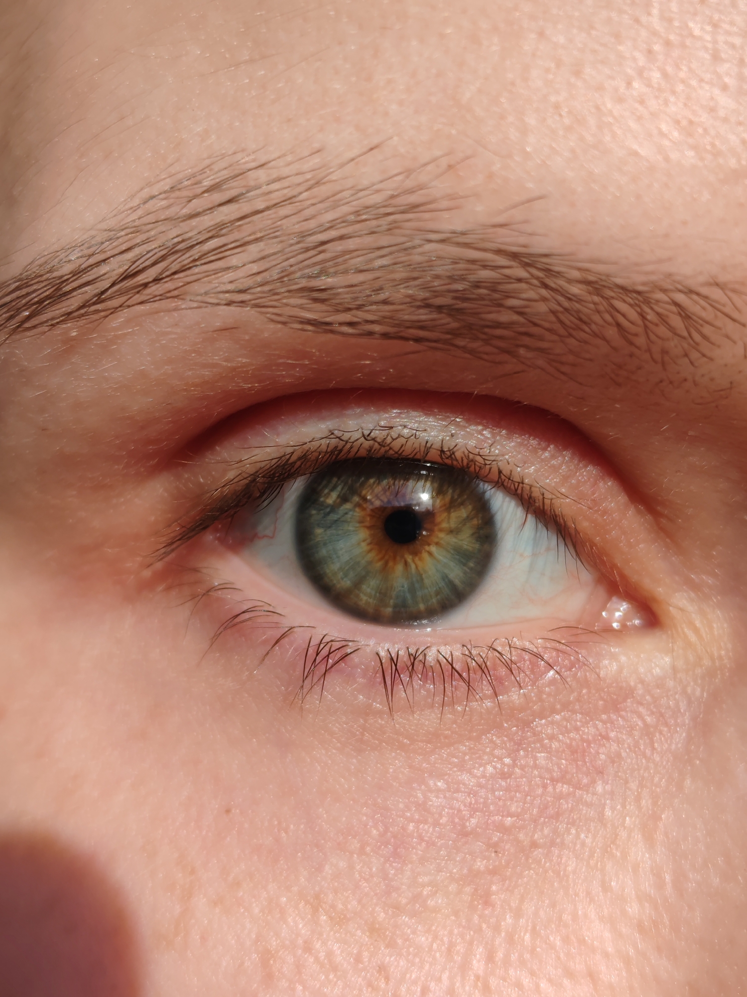 This is a high-resolution, close-up photograph of a human right eye, taken in Ust-Ilimsk, Russia. The image is bathed in bright, natural sunlight, indicated by the strong highlights, distinct shadows, and a clear, reflective point in the pupil.
The primary subject is the eye itself, showcasing a striking hazel iris. It features a warm, golden-brown central ring immediately around the black, round, and moderately dilated pupil, which then transitions into a vibrant green-blue color towards the outer edge. The iris exhibits intricate radial patterns and visible specks of color. The white sclera is visible, traversed by delicate red capillaries, more pronounced near the inner corner. Dark, individual eyelashes frame both the upper and lower eyelids, and a prominent, dark brown eyebrow with clearly defined hair strands arches above the eye.
The surrounding skin is light-toned, revealing clear texture, visible pores, and fine lines, suggesting an unretouched depiction. No specific activity is taking place beyond the eye being open and still. The intense illumination implies a daytime setting with clear, sunny weather. No discernible objects are present other than the biological features of the eye and surrounding skin. There is no visible text in the image.