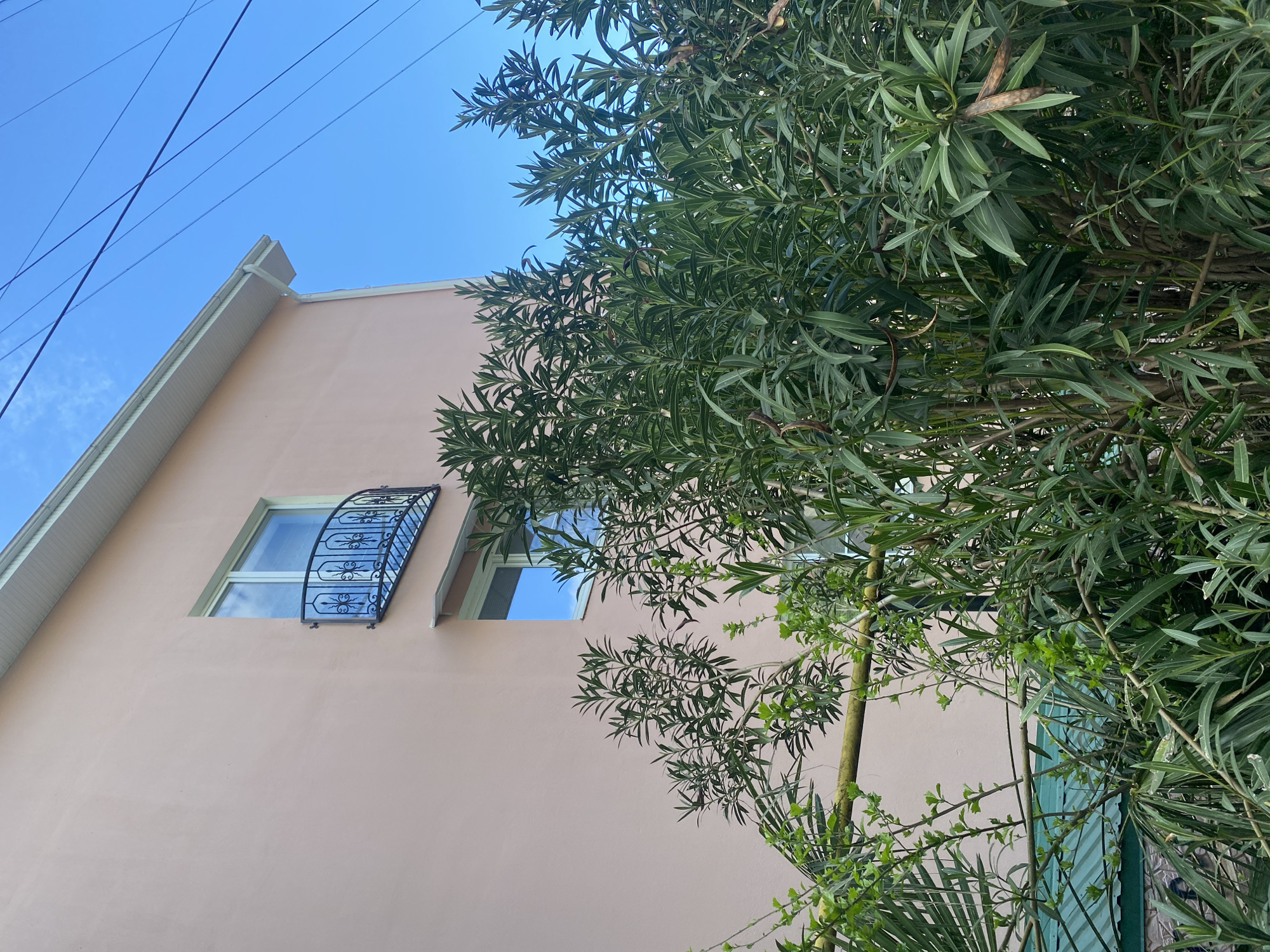 A low-angle shot captures a light pink two-story building with a white roofline under a clear, bright blue sky. A window adorned with a black decorative grille is visible on the second story. Lush green foliage of a tree occupies the right side of the frame, partially obscuring the building. Power lines stretch across the upper left corner of the sky. The photo was taken in Sochi, Russia.
