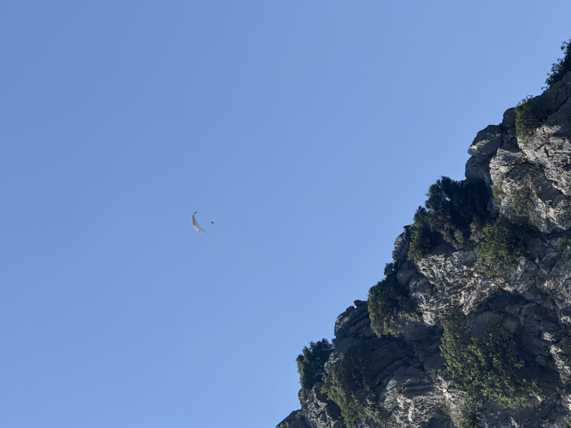 A paraglider is visible in the clear blue sky above a rocky cliff face covered with green vegetation. The paraglider appears as a small, colorful shape against the vast expanse of the sky. The cliff is jagged and uneven, with rocks of various sizes and textures. Lush green trees and shrubs grow from crevices and ledges on the cliff, adding a touch of life to the rugged landscape. The image captures a moment of serene adventure in a natural setting, possibly near Rafailovići, Montenegro, where such aerial activities are popular.