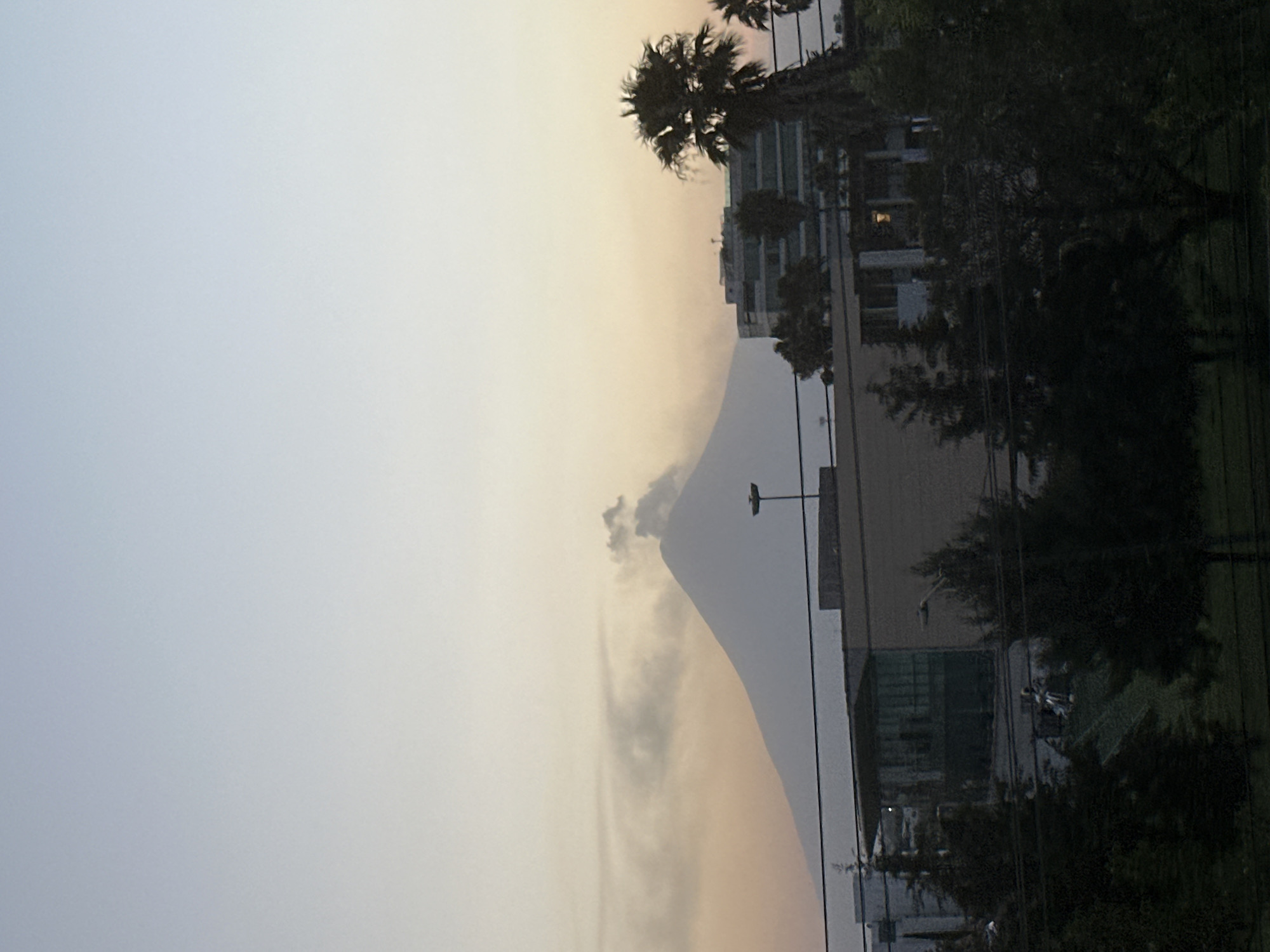 The image captures an outdoor scene at either sunrise or sunset, presenting a blend of natural landscape and urban development. A large, dark mountain or prominent hill dominates the middle ground, its peak partially obscured by soft, wispy clouds. The sky transitions from a pale blue on the left to warm, light orange and yellow tones on the right, indicating the time of day.
On the right side of the frame, several multi-story buildings are visible, some with discernible windows and balconies, suggesting modern architecture. These structures are partially obscured by dense, dark green foliage, including several silhouetted palm trees against the vibrant sky. Electrical wires or cables run vertically along the far right edge. A street light pole with a lamp is also visible against the mountain and sky. In the lower right, an illuminated window within one of the buildings suggests interior lights are on.
There are no visible people or discernible activities taking place. No vehicles are clearly identifiable. The image does not contain any visible text. The overall mood is serene and tranquil, with the soft, low light creating a picturesque blend of urban elements and a grand natural backdrop, fitting for the geographical context of San Bernardino Tlaxcalancingo, Mexico.