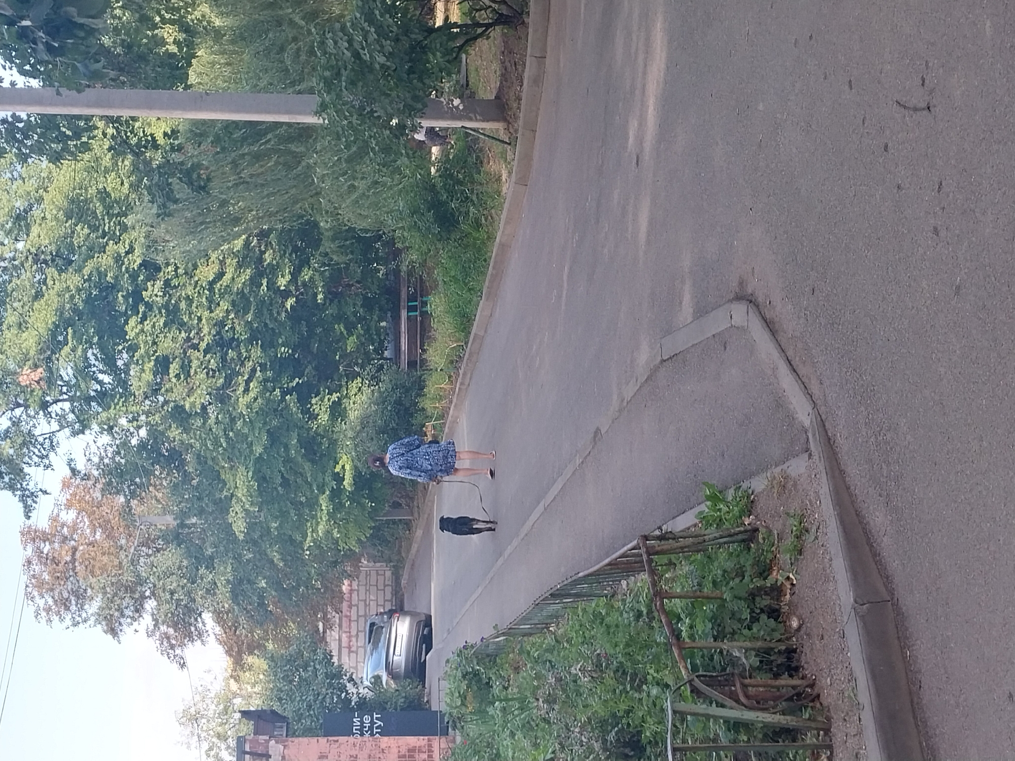 A woman in a blue patterned dress is walking a black dog on a leash down a paved street in Dnipro, Ukraine. The woman is facing away from the camera. The dog is between the woman and the camera. A silver car is parked on the left side of the street behind the woman. To the left of the street is a rusty metal fence with green foliage behind it. To the right of the street are trees and a concrete utility pole. The sky is clear and blue.