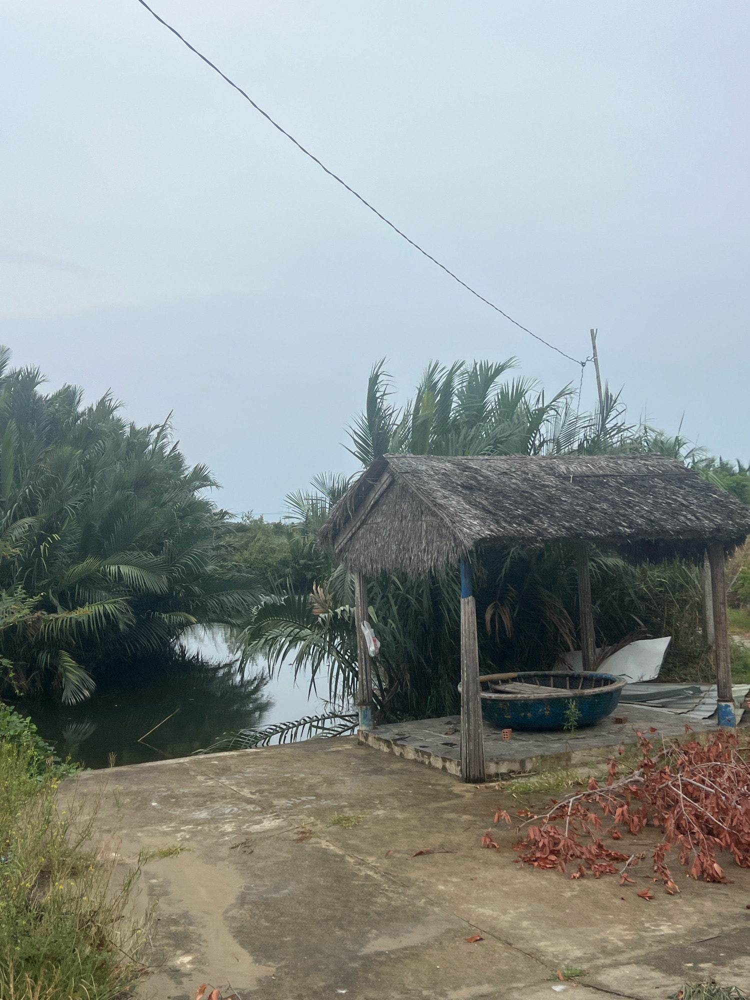 The image depicts an overcast day in Hoi An, Vietnam, likely near a rural waterway. A thatched-roof shelter with wooden posts stands on a concrete platform next to a dark body of water surrounded by dense tropical foliage, primarily palm trees. Inside the shelter, a round, blue basket-like object rests on the platform. A thin black wire stretches diagonally across the sky. A concrete path leads from the foreground towards the shelter and the water. Scattered dry leaves and branches lie on the concrete in the lower right of the frame. The scene appears to be outdoors in a natural setting, possibly a fishing village or a rural area adjacent to a river or canal.