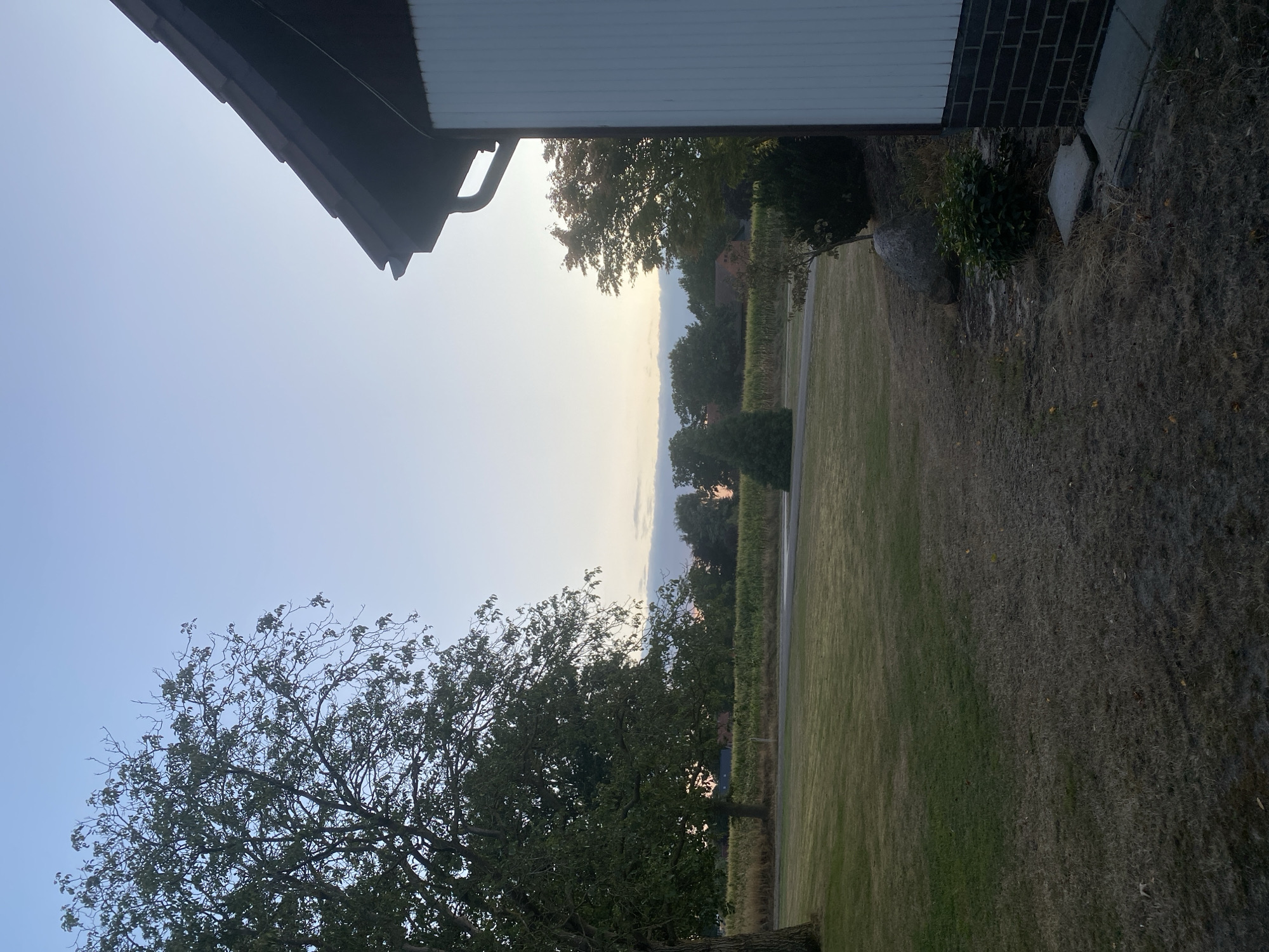 A rural scene is captured in Schwarme, Germany, under a pale blue sky. In the foreground, a section of a modern house with a dark brown roof and white siding is visible on the right. Adjacent to the house, a patch of dry grass and some green bushes are present. To the left, a large, mature tree with green foliage stands prominently. Beyond the tree, a mowed lawn extends towards a field of tall, yellowing crops, likely corn. In the background, a line of trees borders the field, with hints of buildings and structures interspersed. The overall impression is a tranquil, late afternoon or early evening ambiance in a rural setting.