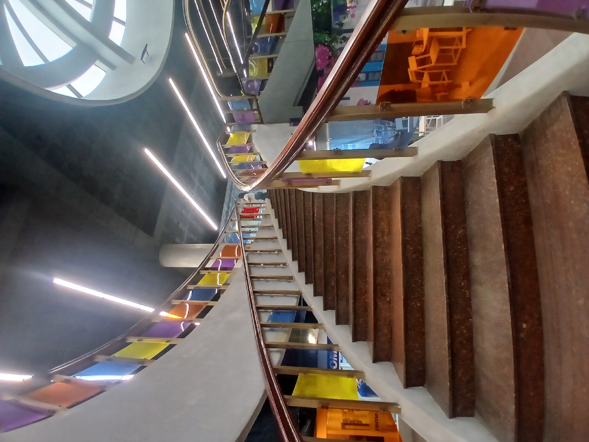 The image presents an upward view of a grand, modern curved staircase inside a building located in Ciudad Guayana, Venezuela. The staircase features wide, dark brown steps, possibly made of wood or a textured stone, that ascend in a sweeping curve. A sleek wooden handrail follows the inner arc of the stairs.
A prominent design element is the series of colorful, translucent rectangular panels integrated into the inner side of the staircase, serving as a decorative balustrade. These panels display a vibrant sequence of hues including orange, yellow, blue, purple, and red. They also reflect parts of the surrounding interior, showing hints of foliage with pink flowers and architectural details.
The staircase area is illuminated by several long, linear LED light fixtures mounted vertically along a dark gray wall, enhancing the contemporary feel of the space. At the apex of the structure, a large, circular skylight with a white frame allows ample natural light to enter the building.
Faint reflections of text are visible on some of the colored panels; "Oreo" can be discerned on a blue panel, and "reme" appears on an orange one, suggesting nearby advertisements or product displays. No people are present, and no specific activity is occurring, but the scale and design imply a public or commercial environment. The overall impression is one of modern architecture with a vibrant, artistic flair, designed for movement and visual interest.