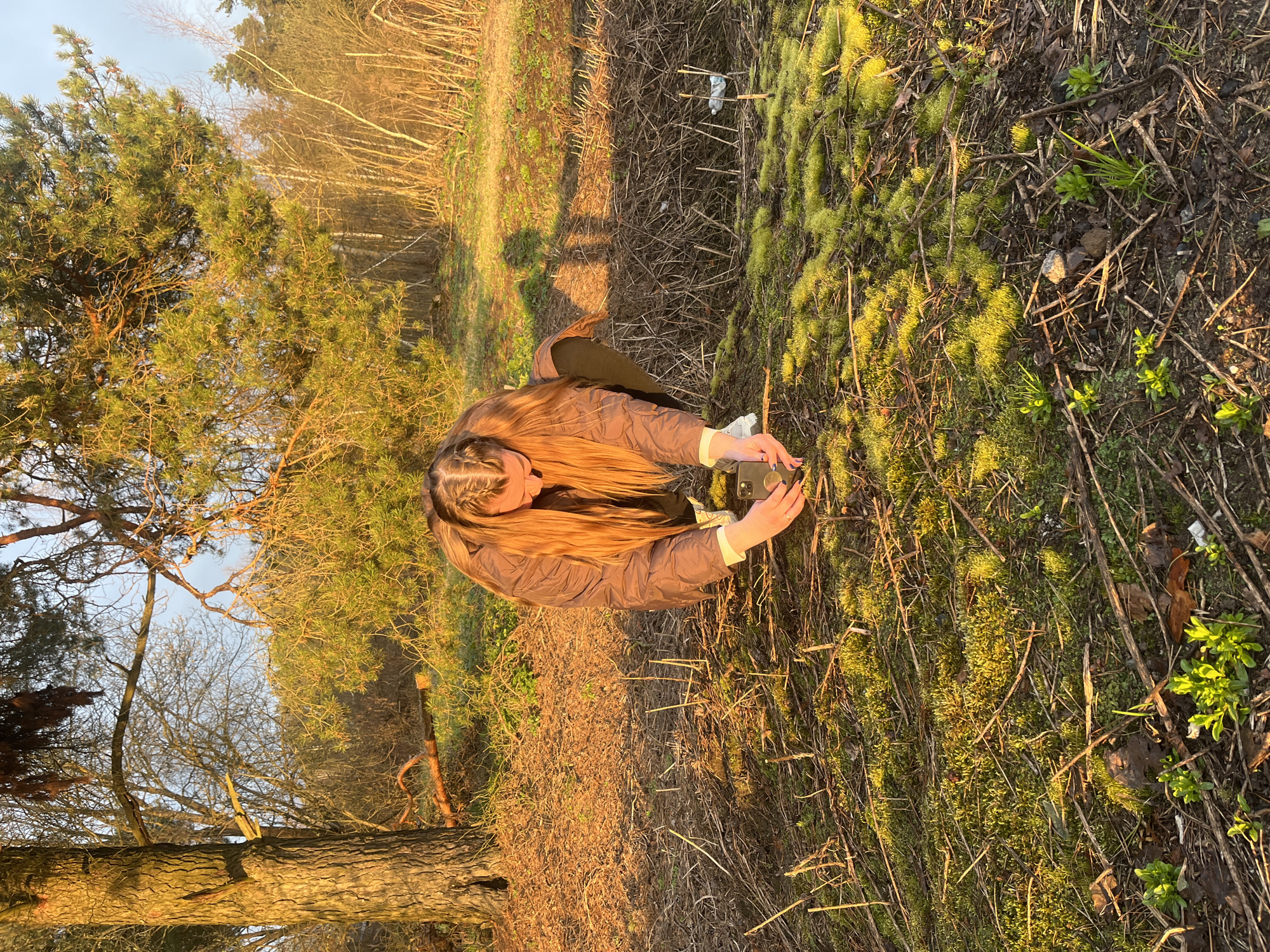 A long-haired person, likely a woman, wearing a brown quilted jacket and dark pants, is crouched low to the ground in a natural outdoor setting. She is holding a smartphone in both hands, pointing it downwards, appearing to take a picture or video of something on the ground. Her expression is focused.
The scene is a forest edge or woodland clearing in Razdolie, Russia, illuminated by warm, golden-hour sunlight, indicating either late afternoon or early morning. Long shadows are cast across the ground, which is uneven and covered with patches of vibrant green moss, dry brown leaves, small sticks, and sparse green sprouts. In the mid-ground, a discarded clear plastic bottle lies amidst the dry vegetation. The background features various trees, including tall coniferous pines with green needles and several bare deciduous trees, suggesting a cooler season. The sky is bright and clear. There is no visible text in the image.