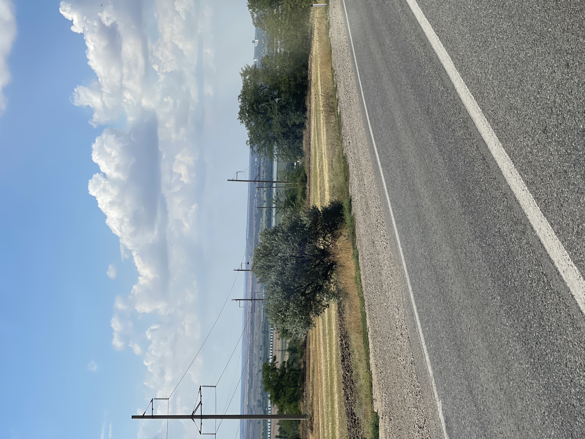 The image depicts a rural landscape near the city of Praskoveya, Russia. In the foreground, a paved road with a white line marking the lane runs diagonally from the bottom right to the top left of the frame. The road is bordered by a gravel shoulder with sparse dry grass.
Beyond the road, the terrain slopes gently downwards. A field with rows of harvested crops, appearing as dry, golden stubble, occupies the middle ground. A prominent, leafy green tree stands to the left of the field, and a larger, dense tree with a fuller canopy is situated more centrally. In the distance, a body of water, possibly a river or lake, is visible, with a line of trees along its banks. Further in the background, buildings and structures of a settlement can be seen.
Power lines supported by tall poles stretch across the landscape, indicating the presence of infrastructure. The sky is a bright blue with scattered white cumulus clouds, suggesting fair weather. The overall scene is one of a rural, open expanse under a partly cloudy sky. There are no people or animals visible in the image.