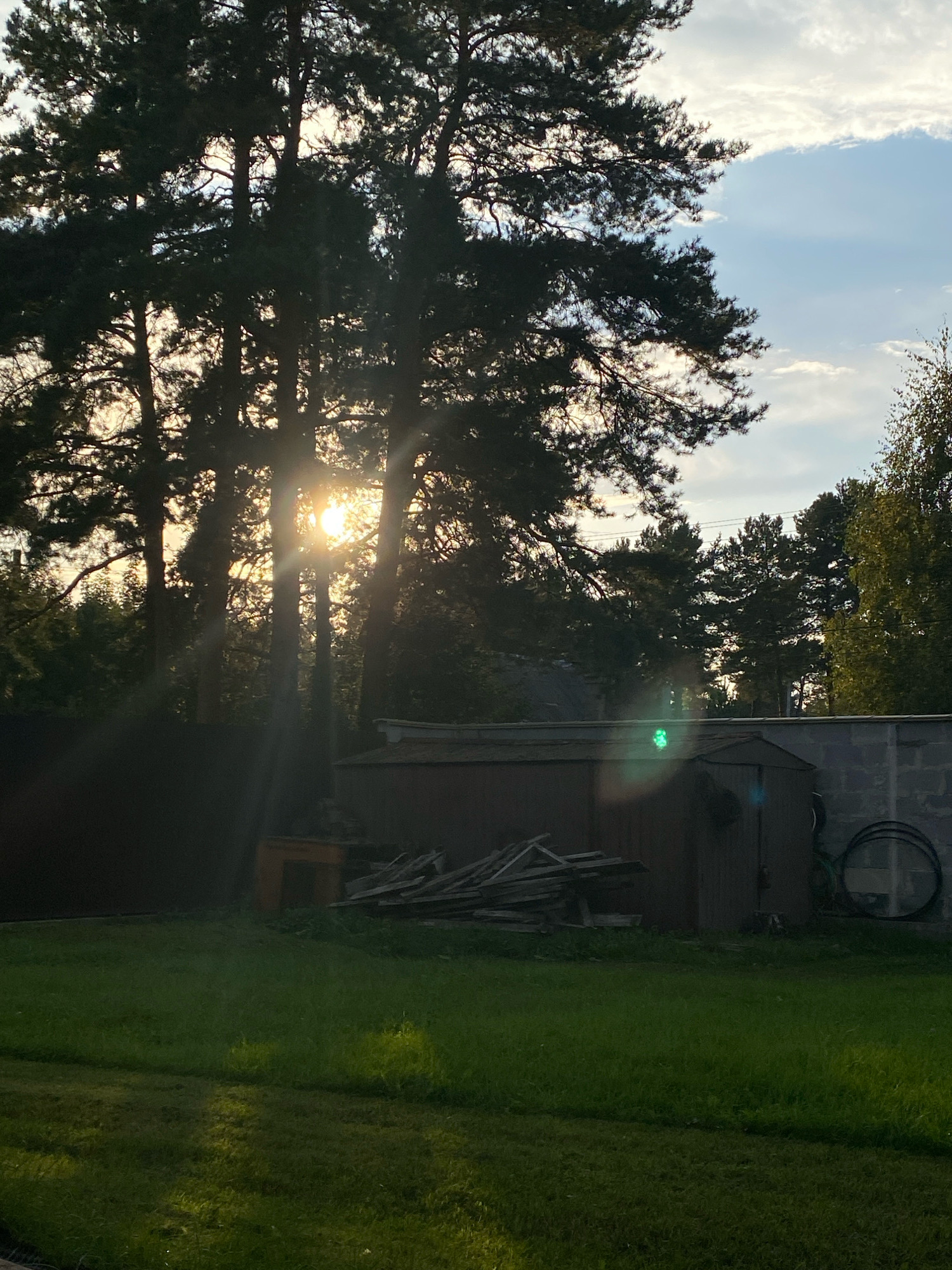 The image depicts a backyard scene in Perm, Russia, during the late afternoon or early evening. Tall pine trees dominate the foreground, their dark silhouettes partially obscuring the sun, which casts rays of light through the branches. In the mid-ground, a dark wooden shed and a pile of lumber are visible. To the right, a concrete block wall borders the property, with a large, dark circular object leaning against it. The ground is covered with green grass. The sky is partly cloudy with patches of blue. The overall atmosphere is serene, with a hint of the encroaching evening.