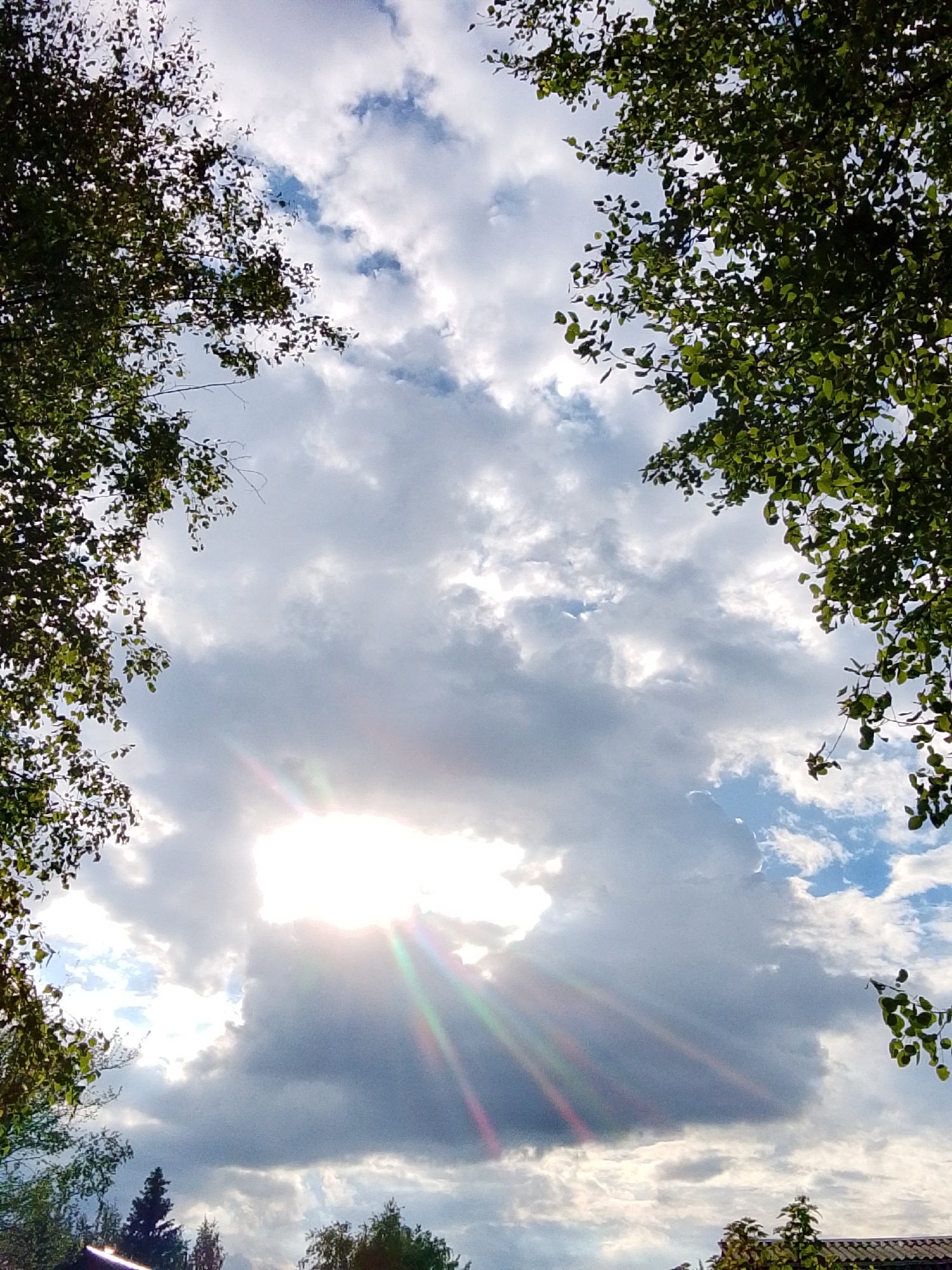 The image shows a view of the sky through the branches of trees. The sky is cloudy, with patches of blue visible. The sun is shining brightly through a gap in the clouds, creating sunbeams that radiate downwards. The lower portion of the image includes silhouettes of other trees and plants on the ground. The location 1-Go Maya, Russia is not readily discernible from the image.