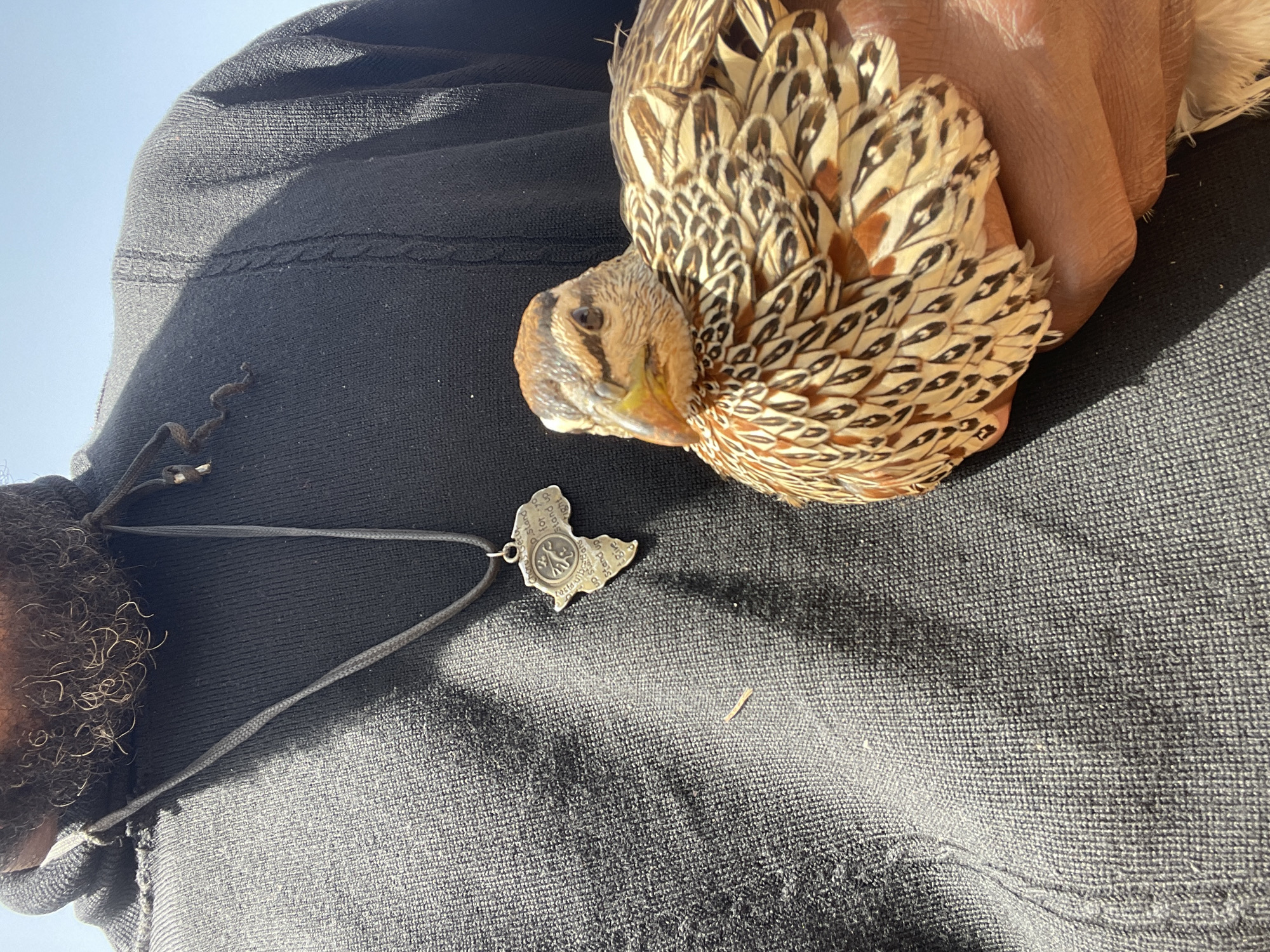 A person is holding a bird. The bird has tan, black, and white plumage. The person is wearing a black hooded sweatshirt with a silver pendant in the shape of Ethiopia. The sky is visible in the background. The location in Jos, Nigeria, is not discernable from the given image.