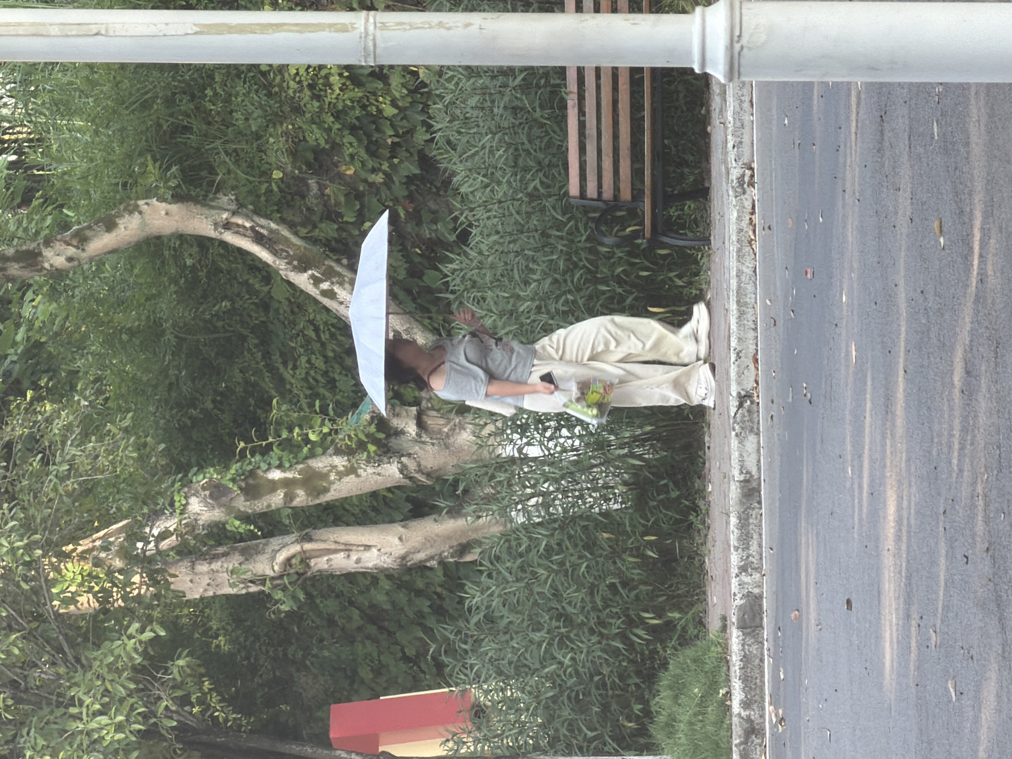 A person walks under a light blue umbrella on a sidewalk in Jiangjin, China. The individual is wearing a grey off-the-shoulder top and loose, light-colored pants, and carrying a clear plastic bag filled with items. They are walking past a row of green plants and a wooden bench with black metal legs. In the background, there are trees and dense foliage. A white lamppost is visible on the right side of the frame, and the pavement of a road is in the foreground with scattered leaves. A red and yellow structure is partially visible on the left edge of the image.