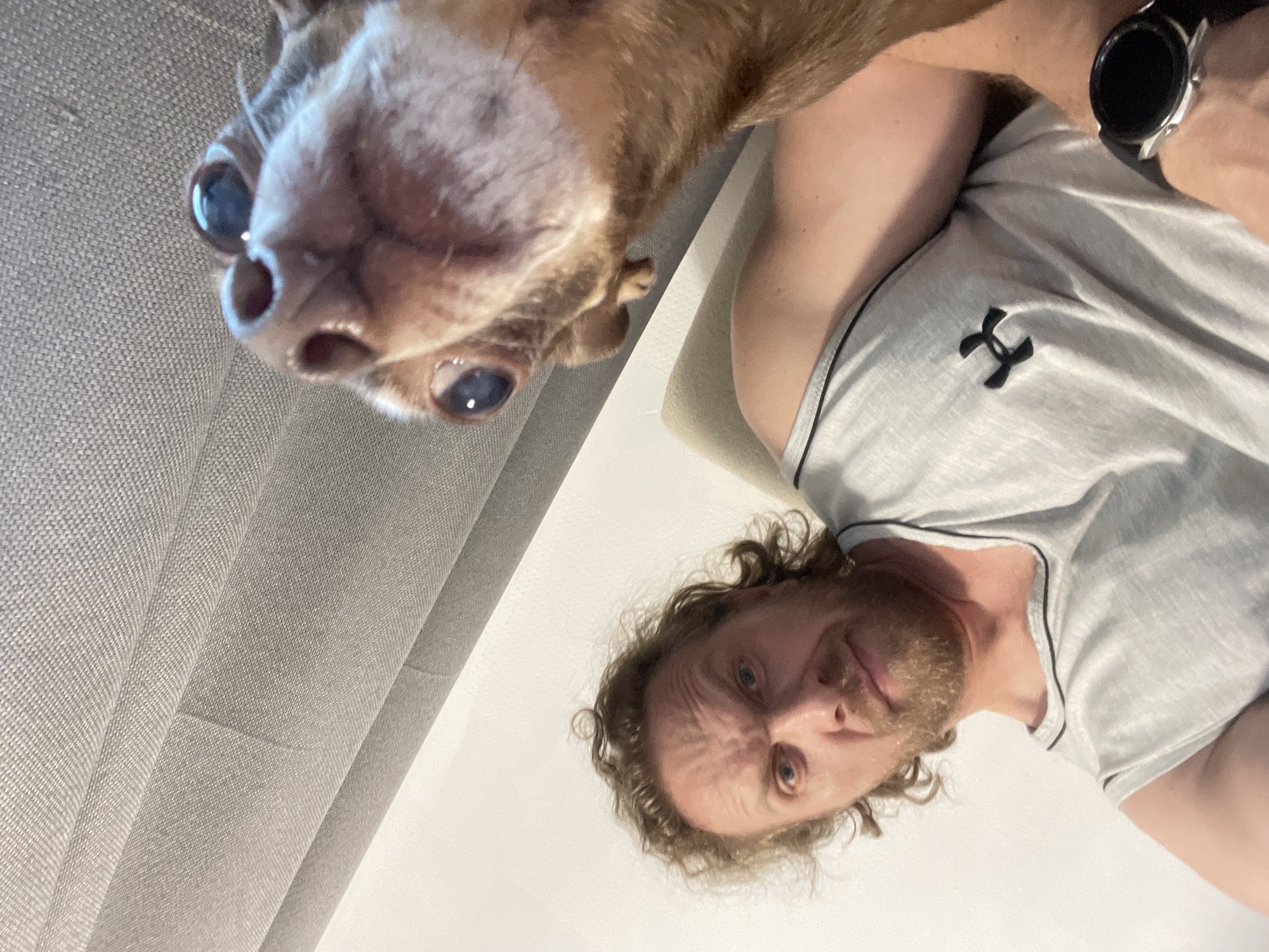 In a low-angle selfie taken indoors, a man with curly brown hair and a beard, wearing a grey tank top with a black Under Armour logo, looks directly at the camera with a surprised expression. His head is tilted, and his right arm is visible, adorned with a silver smartwatch. In the foreground, a small brown dog, likely a Chihuahua, is positioned very close to the camera, its snout and wide eyes filling the lower portion of the frame. The dog's gaze is also directed forward, mirroring the man's intense stare. The background features a textured grey curtain and a white wall, suggesting an interior setting. The scene is devoid of any discernible city landmarks or indications of Saint Petersburg, Russia.