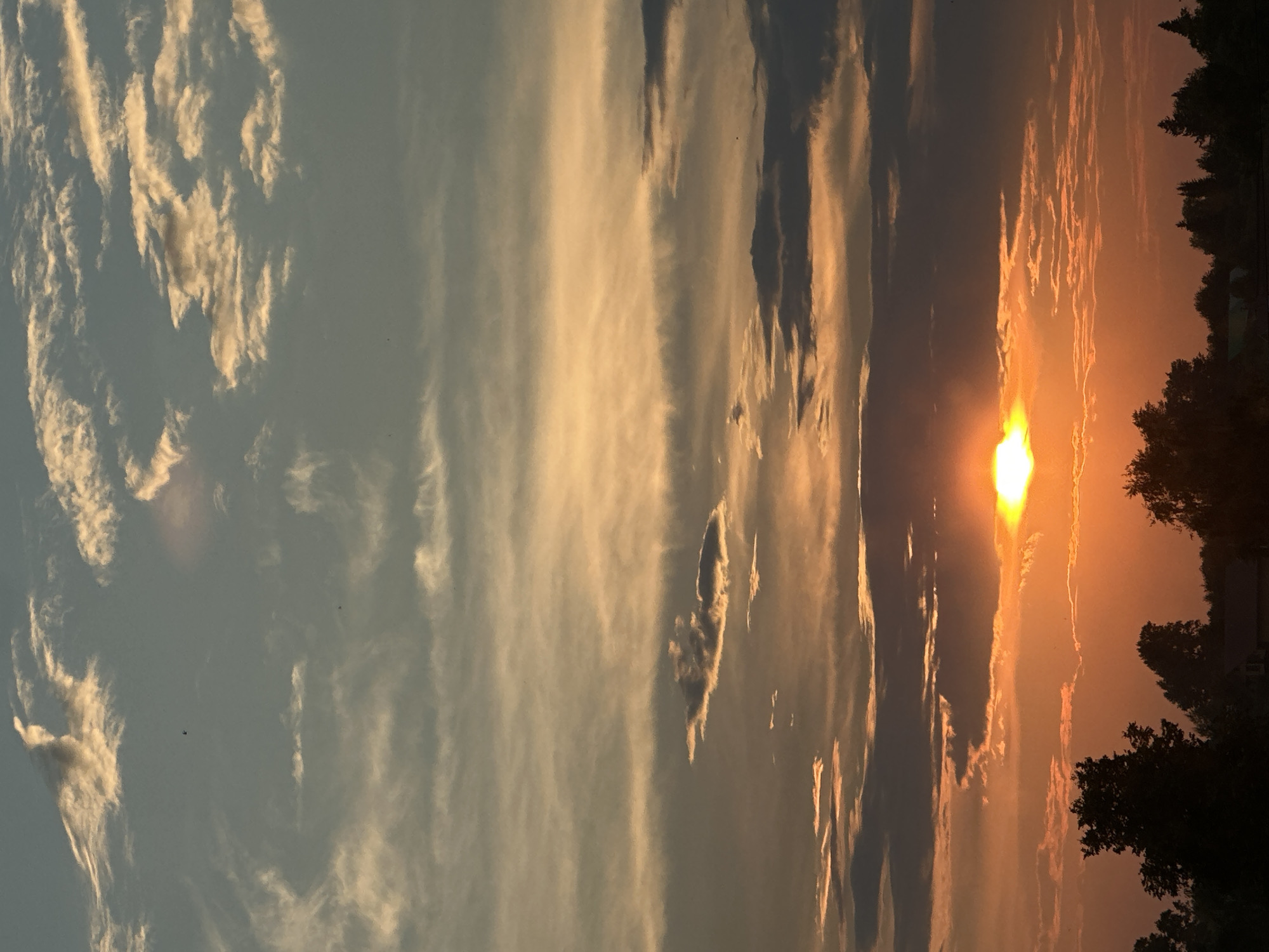 A vertical, eye-level shot captures a dramatic sunset over a silhouetted treeline. The sky is a gradient of colors, starting with a soft blue at the top, transitioning through hues of orange and yellow, and ending with a deep orange near the horizon. Wispy clouds are scattered throughout, catching the light and adding texture. The sun, a brilliant orb of light, is partially obscured by clouds and low-lying clouds near the horizon. A dark silhouette of trees and some indistinct buildings forms the bottom edge of the frame.