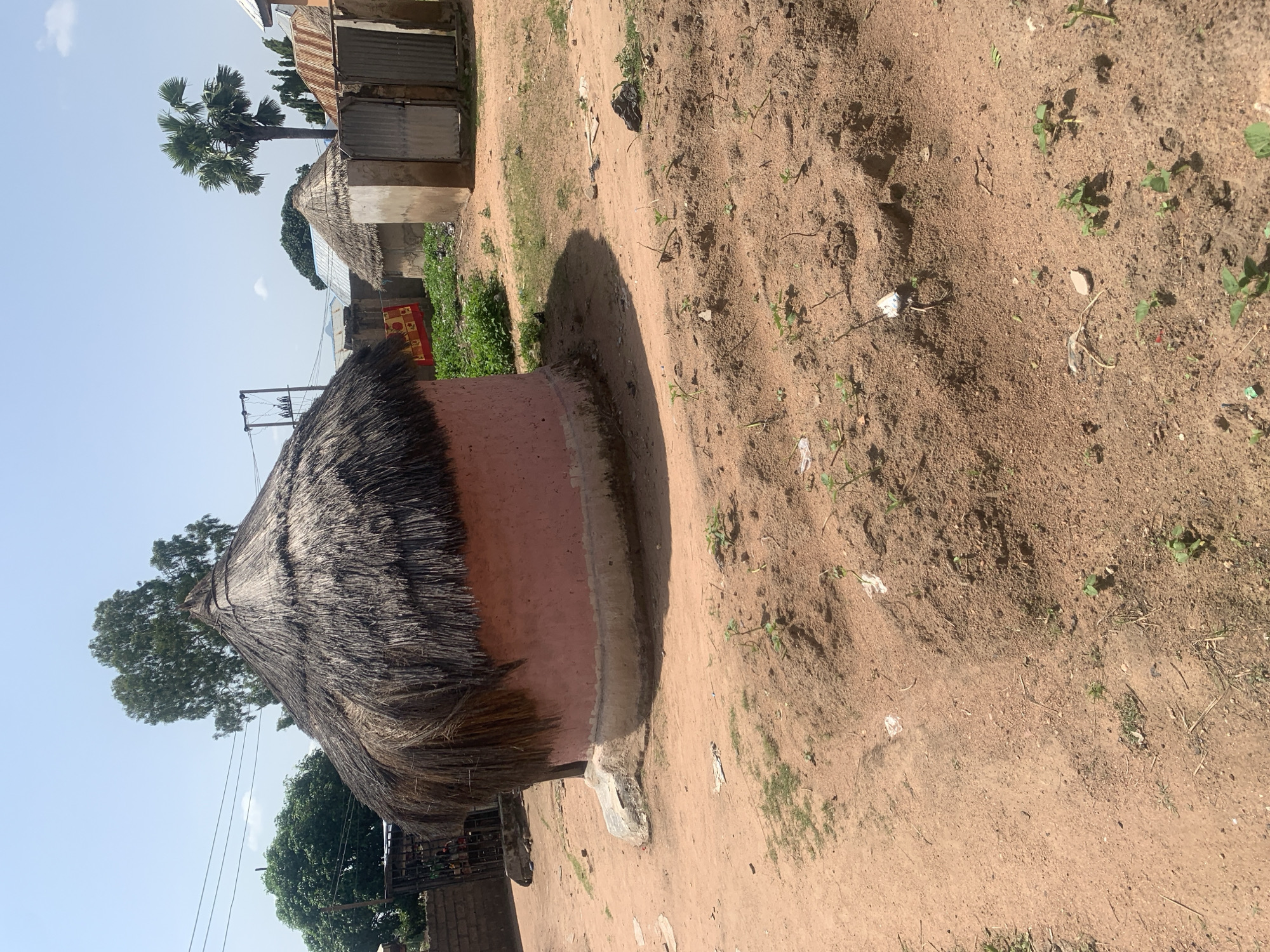 The image depicts a rural setting in Jalingo, Nigeria, featuring traditional thatched-roof huts. The foreground is dominated by sandy, dry soil with scattered small plants and some visible debris, including plastic. In the midground, a prominent pink, circular hut with a thick thatched roof stands on a raised, stone-like foundation. Adjacent to it, another smaller thatched-roof structure and a corrugated metal fence enclosing a small yard are visible. Further in the background, more huts with thatched and corrugated iron roofs are present, along with trees and a clear blue sky. Power lines and poles are also discernible, suggesting some level of infrastructure. The overall impression is one of a modest, rural community under a bright, sunny sky.
