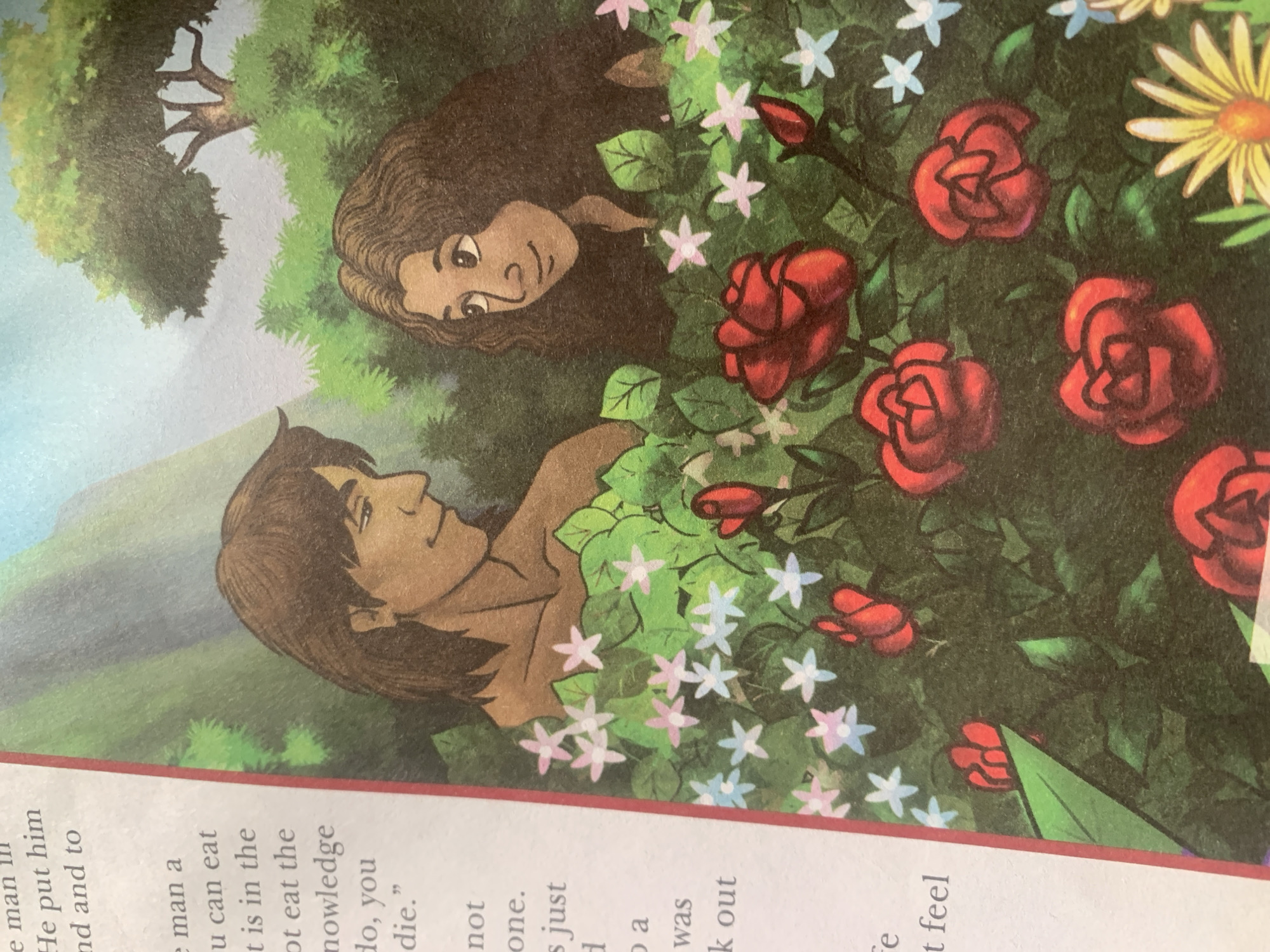 The image is a close-up illustration of a man and a woman standing amidst dense foliage and flowers, with a partially visible tree and sky in the background. The man, on the left, has brown hair and is looking to his right with a slight smile. The woman, on the right, also has brown hair and is looking to her left with an upward gaze. They are surrounded by various red roses and smaller white and light blue flowers, interspersed with green leaves. The overall scene depicts a lush, natural environment. There is text in the left margin of the image, which appears to be from a book. The location in Jauro Yinu, Nigeria is not depicted or inferable from the image itself.