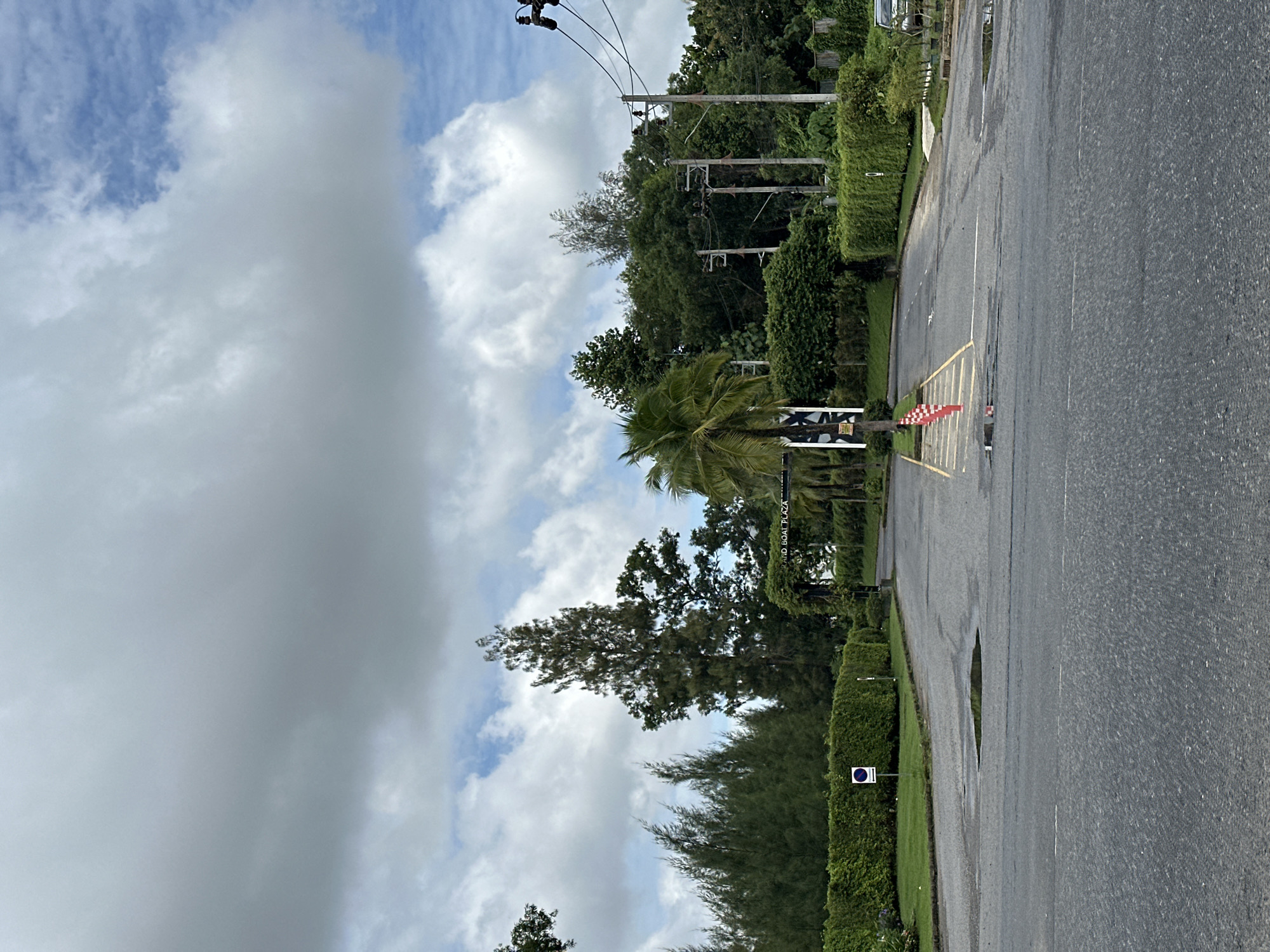 The image shows an empty asphalt road with puddles, leading towards a landscaped entrance with manicured hedges. A tall, slender palm tree stands in the center of the entrance. Above the entrance, a sign reads "ISLAND BOAT PLAZA". The road is lined with neatly trimmed hedges on both sides. In the background, a dense forest of trees and foliage is visible, with some power lines and poles interspersed. The sky is partly cloudy, with large, puffy clouds against a blue sky. The scene appears to be a well-maintained entrance to a resort or commercial area in a tropical or sub-tropical location.