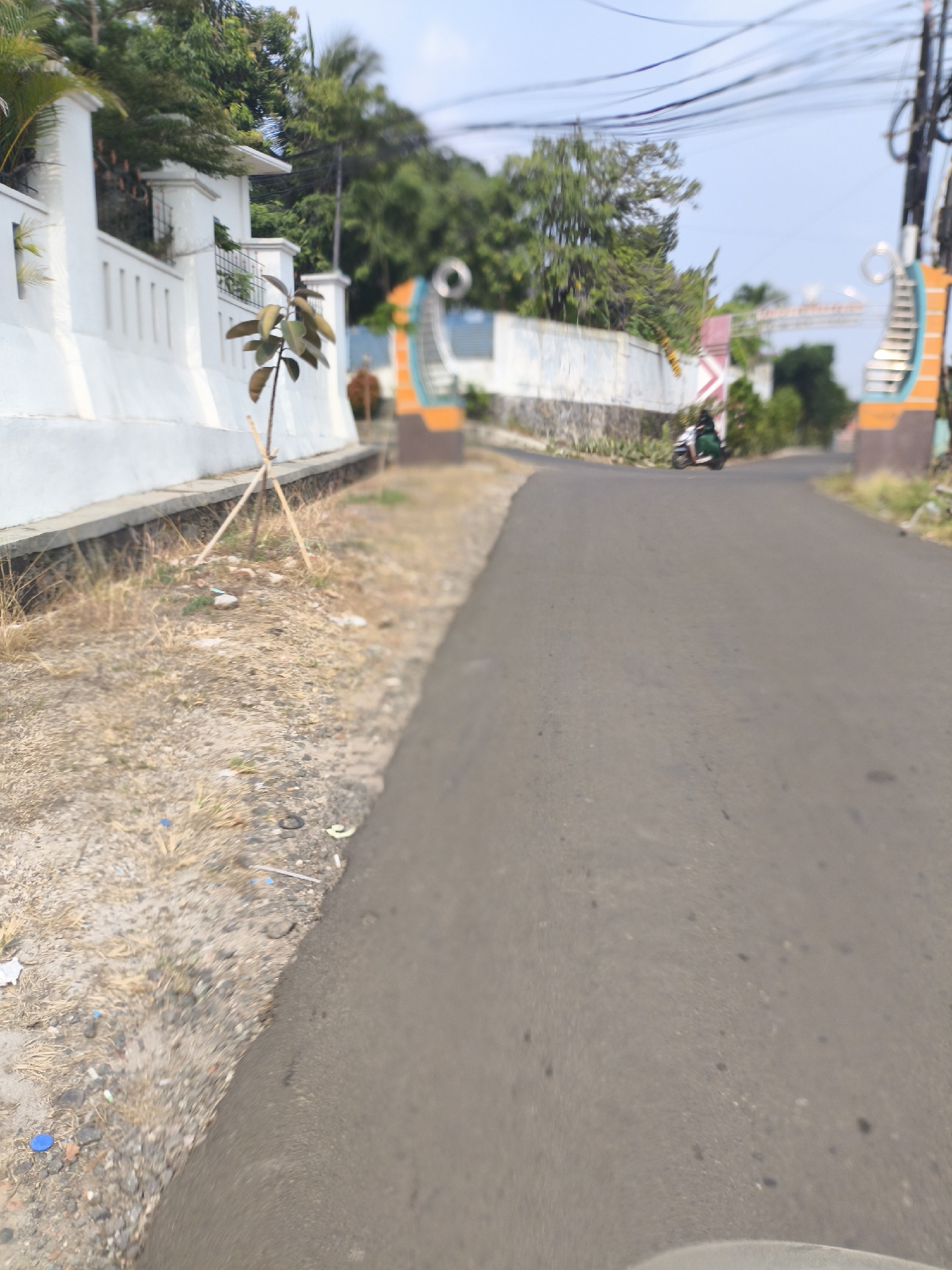 The image captures a roadside scene in Cilegon, Indonesia, featuring a paved asphalt road with a dry, grassy embankment on the left. A white wall, possibly part of a property boundary, runs along the embankment, topped with decorative elements. A young tree, supported by wooden stakes, is planted near the wall. Further down the road, an orange and blue arched gateway is visible, with a white sign above it, suggesting a residential area or entrance. A person is riding a dark-colored scooter on the road, heading away from the viewer. Lush green trees form a backdrop behind the wall and gateway, under a clear blue sky with visible power lines overhead.