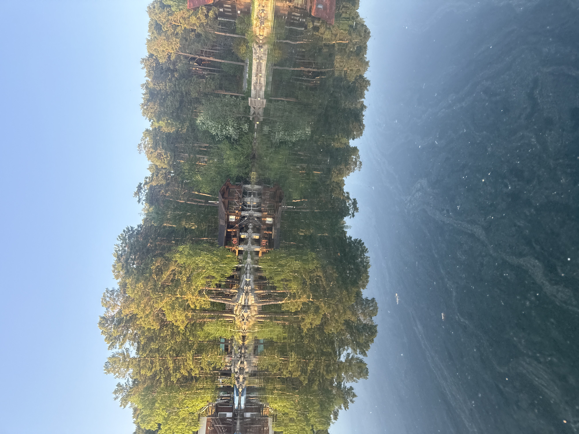 The image is a landscape of Zolotoi Plyazh, Russia, reflected in water. The scene depicts dense foliage, possibly trees, lining the water's edge. Structures that could be buildings are visible among the trees. The water's surface is not perfectly still, creating a slightly distorted reflection. The sky is clear.