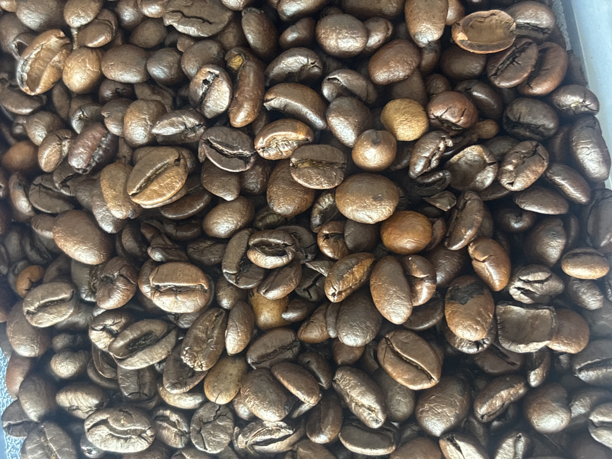 The image shows a close-up, high-angle view of a pile of roasted coffee beans. The beans are various shades of brown and appear to be a mixture of different roasts, some lighter and some darker. Some beans are whole, while others are cracked or broken. There is no indication of Buenavista, Mexico, or any people, actions, or interactions in the image. The environment is simply a container or surface holding the coffee beans.