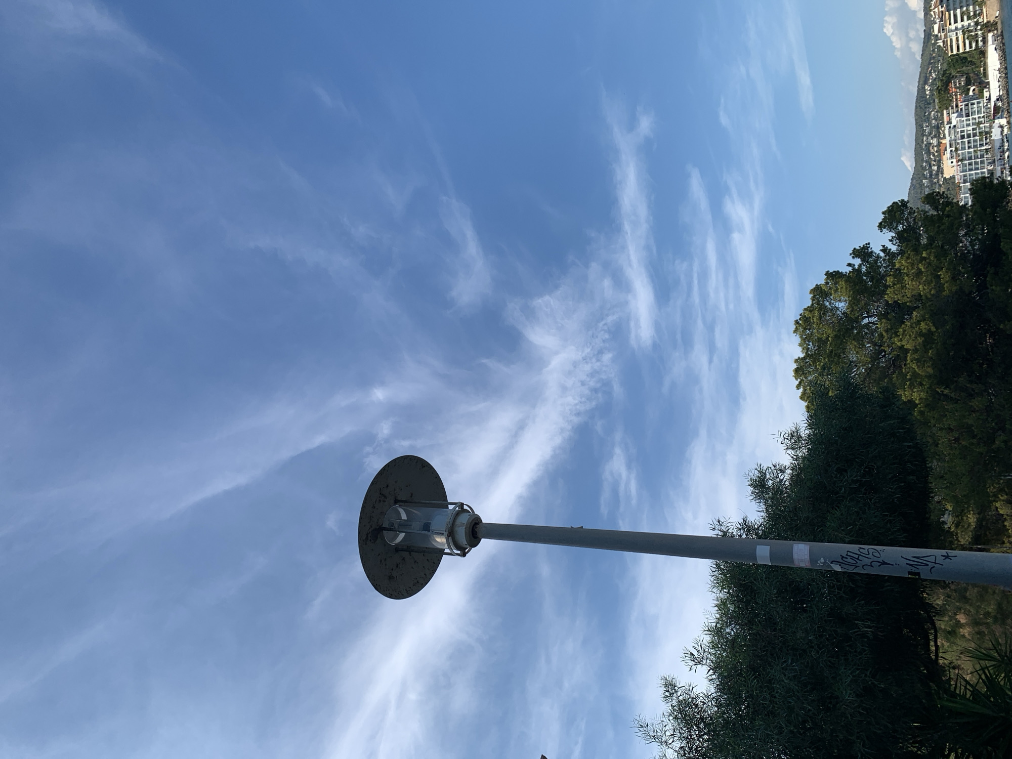 The image shows a view of the city of Palmanova, Spain. In the foreground, a tall, gray lamppost with a circular shade stands against a bright blue sky with scattered wispy clouds. The lamppost has some graffiti on it. To the left and partially obscuring the lamppost is a dense, dark green tree. In the background, a line of buildings, some appearing to be hotels or apartments, are visible along the coastline, with hills rising behind them. A body of water, likely the sea, is present in the lower right portion of the image. The scene appears to be outdoors, possibly a promenade or park area overlooking the town and coast.