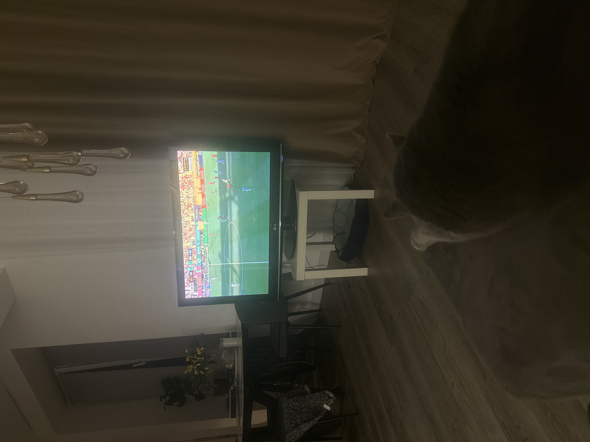 The image depicts an indoor scene, likely a living room, with a large television screen displaying a soccer match. The room is dimly lit, with the television screen providing the primary light source. In the foreground, a large cat is visible from the rear, lying on the floor. The cat's fur appears to be grey or light brown. The television is placed on a small white stand, beneath which is a dark-colored pet bed. To the left of the television, a dining table with chairs is partially visible. One chair has a grey blanket draped over it. In the background, sheer curtains hang from a window, and a chandelier with multiple decorative elements is suspended from the ceiling. The flooring is a dark wood laminate. The image does not provide any specific information or context to determine its location in Magnitogorsk, Russia.