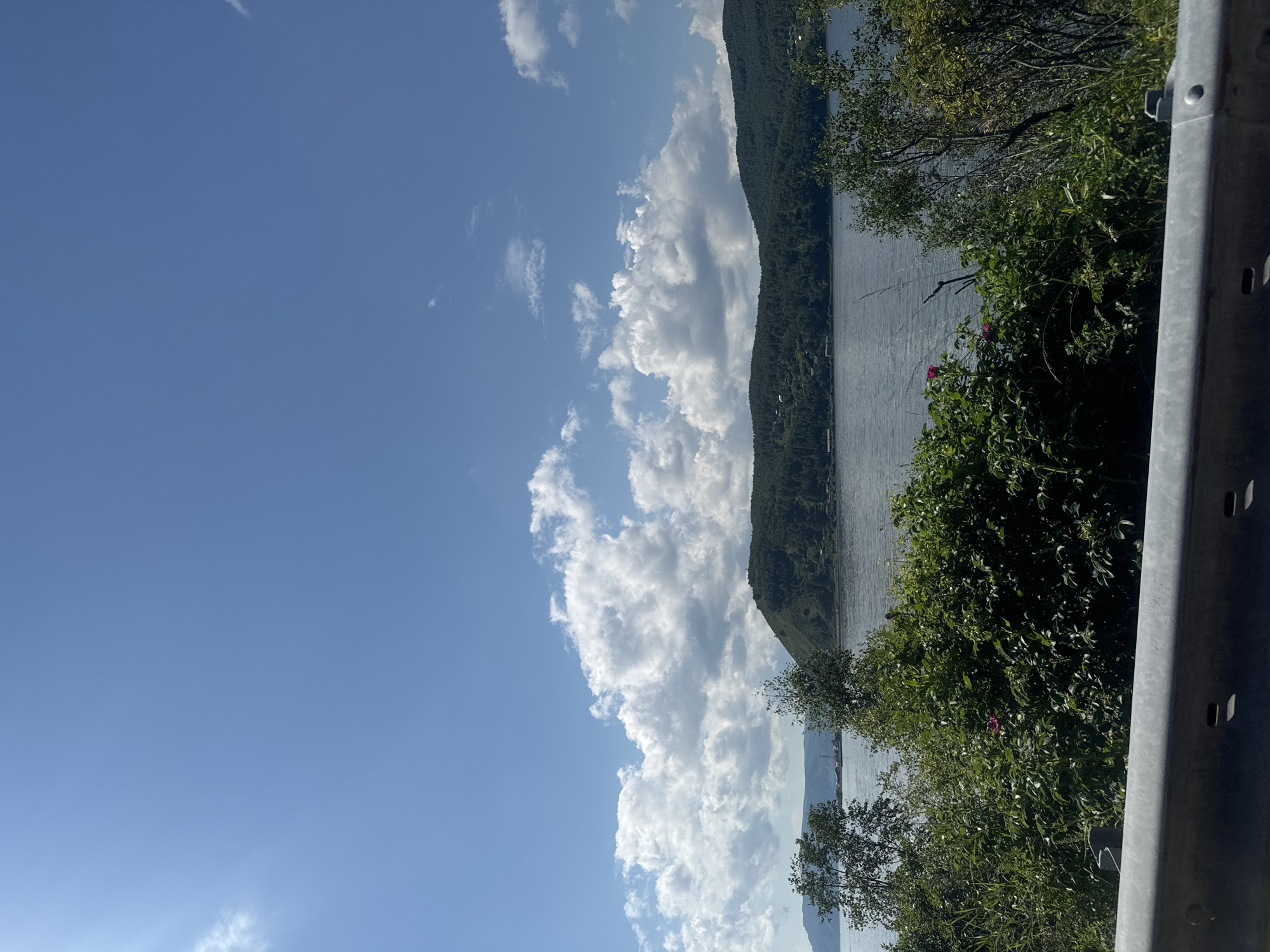 The image depicts a wide, calm body of water, likely Lake Baikal, with a densely forested hillside in the background. The sky is a clear blue with scattered white cumulus clouds, and the sun is shining brightly, casting shadows and highlighting the landscape. In the foreground, there is lush green vegetation, including bushes and trees, with a hint of a pink flower visible on one of the bushes. A grey metal guardrail runs along the bottom of the frame, suggesting the viewpoint is from a road or elevated path. The overall scene is serene and natural, with no people or specific human activities immediately apparent, though distant structures might be visible on the shoreline of the forested hill. The location is identified as Listvyanka, Russia, a settlement on the western shore of Lake Baikal.