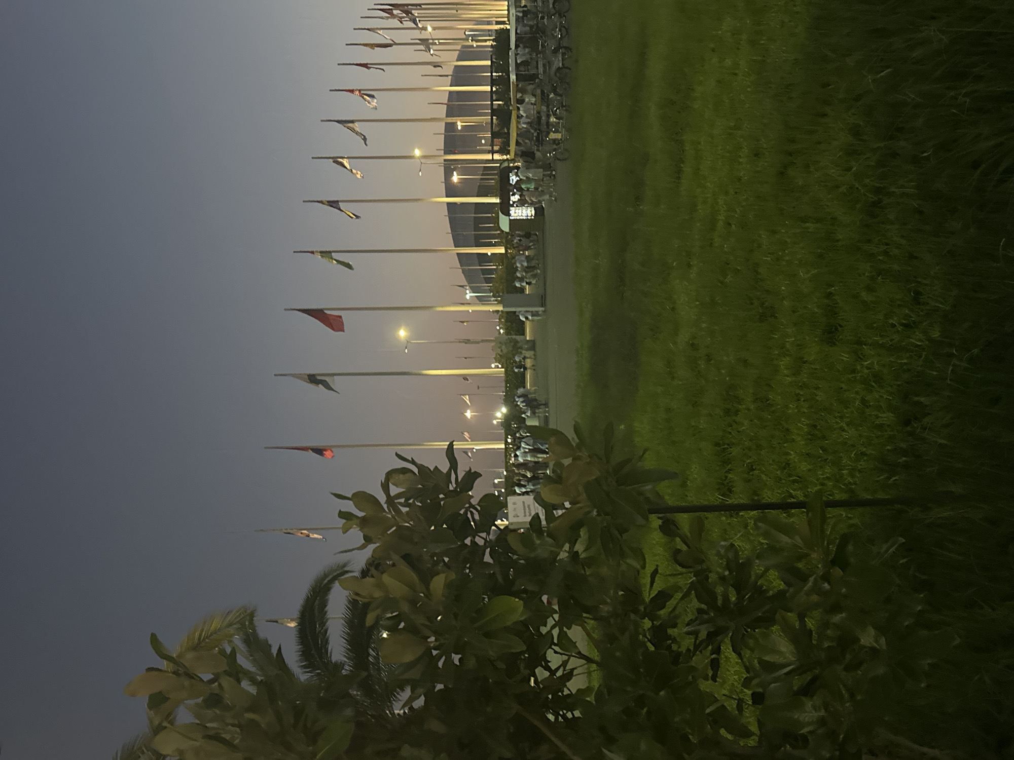 The image depicts an outdoor scene at dusk, likely in the Olympic Park in Sochi, Russia, given the presence of numerous national flags lining a promenade, a modern architectural structure in the background resembling the Fisht Olympic Stadium, and a row of golf carts. In the foreground, a large, leafy green tree obscures the left side of the frame, with a patch of well-maintained grass extending to the right. A pathway is visible behind the grass, leading to a gathering of people. Several flagpoles with various national flags are prominently displayed, reaching into the dusky sky. The lighting suggests artificial illumination from streetlights and the stadium structure. A small kiosk or food stand is situated near the pathway. People are observed walking and congregating, some appearing to be tourists or attendees at an event. The overall atmosphere is one of public space at the end of the day, with elements characteristic of a large sports or event venue.