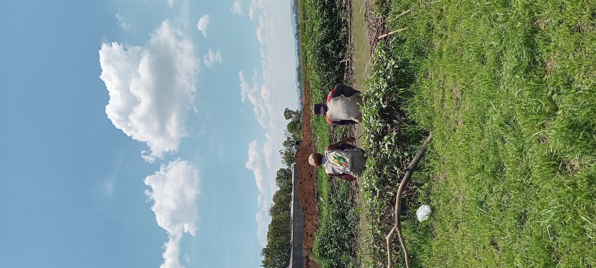 In a rural area of Paledah, Indonesia, two individuals are observed from behind, crouching near a water channel. The person on the left wears a white backpack with a green logo and a light-colored shirt. The person on the right is wearing a dark hat and a light-colored shirt with red accents on the sleeves. They are positioned amidst lush green vegetation along the bank of a shallow, muddy waterway. In the foreground, green grass covers the ground, with a fallen branch and a white plastic bag visible. The background reveals a construction site with piles of reddish-brown soil and some low structures, followed by more vegetation and trees, with distant hills under a partly cloudy blue sky.