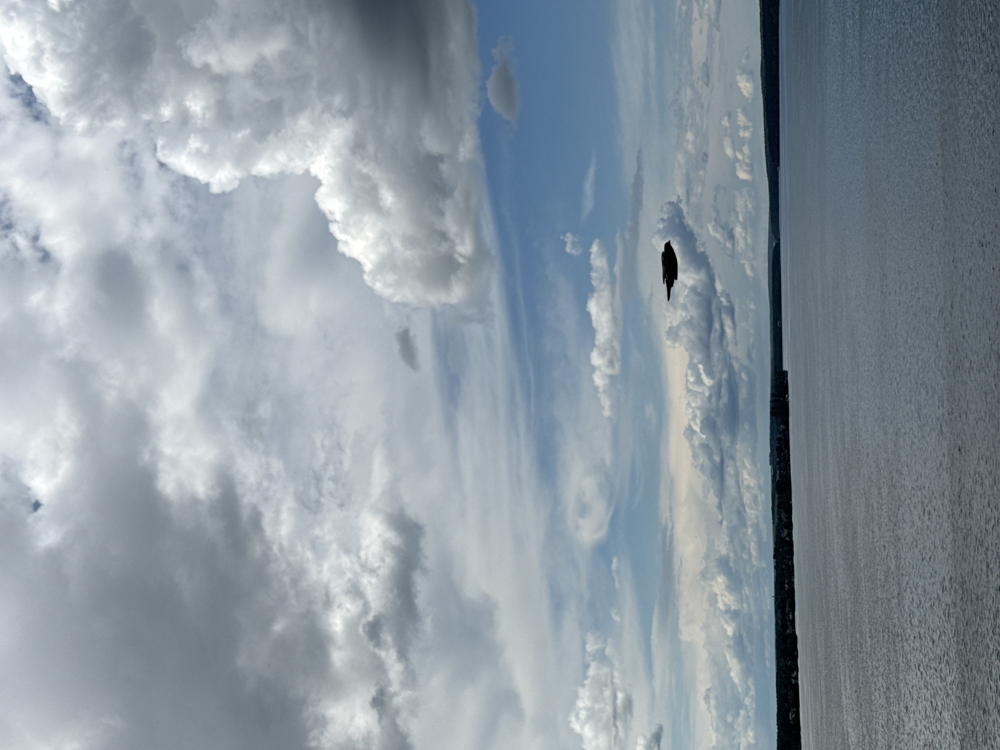 A sideways view of a body of water, possibly a lake or river, with the coastline of Votkinsk, Russia, visible in the midground. The sky is filled with a mix of light blue and predominantly white clouds. A silhouetted bird is visible mid-sky. The scene is outdoors, captured during daylight hours.