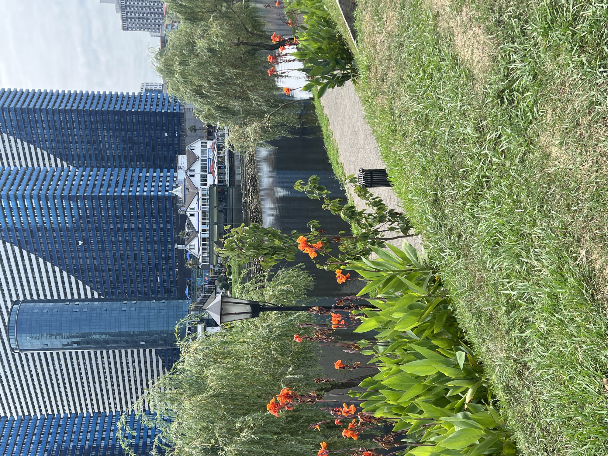 This image captures a scenic view of the Batumi Boulevard in Batumi, Georgia, showcasing a harmonious blend of modern architecture and lush greenery. In the foreground, vibrant orange canna lilies and large green leaves create a colorful border along a neatly paved walkway. To the left, a black lamppost stands tall, adding a touch of classic charm to the scene. The walkway, made of light gray paving stones, curves gently through the landscape, inviting exploration.
Beyond the walkway, a tranquil body of water reflects the surrounding environment, creating a mirror-like surface. On the opposite bank of the water, a charming white building with a red roof stands out, reminiscent of a lakeside restaurant or cafe. The building features a series of windows and doors, suggesting a place of public gathering.
In the background, the iconic architecture of Batumi dominates the skyline. Several modern skyscrapers, characterized by their sleek glass facades and blue and white exteriors, rise majestically against a cloudy sky. These buildings, with their repetitive horizontal lines, represent the contemporary development of the city.
The overall scene depicts a peaceful and picturesque urban oasis, where nature and architecture coexist beautifully. The presence of the water, the well-maintained walkway, and the vibrant flora suggest a popular recreational area, likely frequented by locals and tourists alike. The image conveys a sense of calm and serenity, offering a glimpse into the aesthetic appeal of Batumi's coastal promenade.