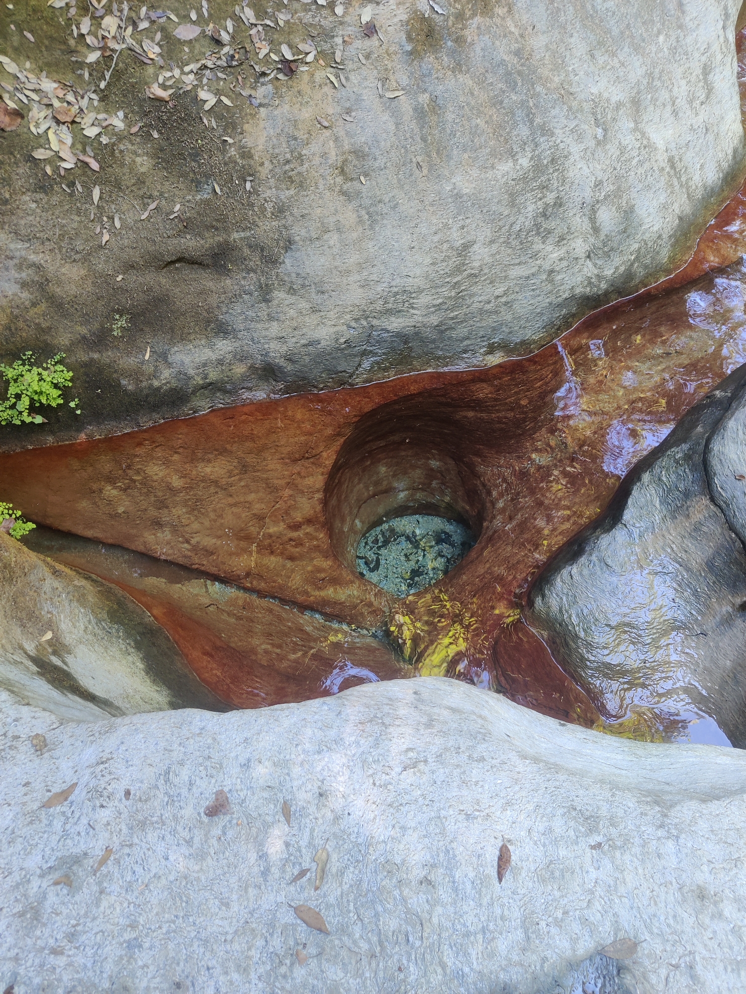 This image shows a close-up, overhead view of a natural rock formation with a small, circular pool of clear water carved into it. The rock is various shades of grey and tan, with some reddish-brown staining around the water-filled depression. The water is shallow and shows some pebbles at the bottom. There are a few dry leaves scattered on the rocks and a small patch of green mossy vegetation on the left side of the image. The surrounding area appears to be a natural, outdoor environment, possibly a creek bed or a weathered rock face. The exact location within Δημοτική Ενότητα Ευρυμενών, Greece, cannot be determined from the image alone.