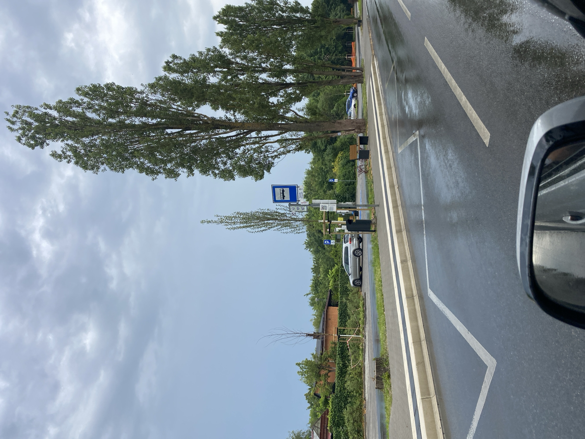 This is a vertical, medium-angle, outdoor shot of a wet road in Szczecin, Poland. The road appears to be a street or parking area, with distinct white lines marking parking spaces. The wetness suggests recent rain. Several tall trees with green foliage line the left side of the road, their branches extending over the pavement. In the background, there is dense greenery and some buildings, including a small, rustic-looking structure.
Objects visible include a blue bus stop sign with white lettering and symbols, as well as a parking sign with a blue background and a white 'P'. A silver car is parked to the right of the bus stop. There are also a couple of dark-colored benches visible near the bus stop. The image is taken from a slightly elevated perspective, possibly from inside a vehicle, as indicated by the partial view of a dark car mirror on the right edge of the frame.
The sky is overcast with grey clouds, contributing to a diffused light that suggests it is either early morning or late afternoon, and the weather is cloudy and damp. The scene evokes a sense of calm and perhaps a slight melancholy due to the overcast weather and wet conditions. There is no discernible activity or event taking place, implying a pause or a moment captured in time.