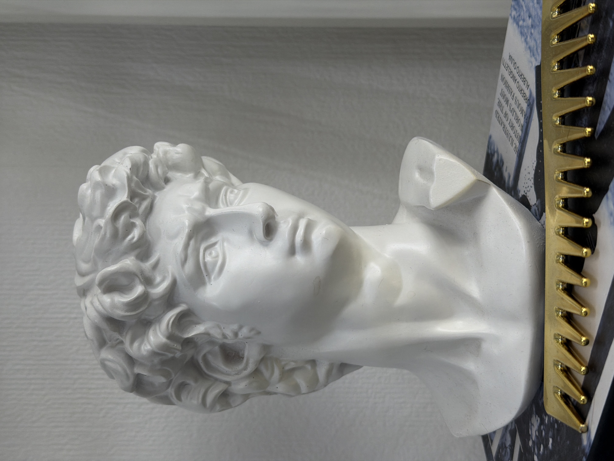 The image shows a white bust of a classical male figure with curly hair and a smooth face, turned slightly to the right. The bust is cut off at the chest, and its right side is obscured by a book or publication with a blue and white cover. A gold-colored metal object with triangular protrusions, resembling a comb or a mounting device, is positioned alongside the book. The bust, book, and metal object are all placed in front of a pale gray or white background, which could be a wall or another surface. The image is presumably taken indoors. The city of Chaikovsky, Russia is not discernible from the visual information presented in the image.