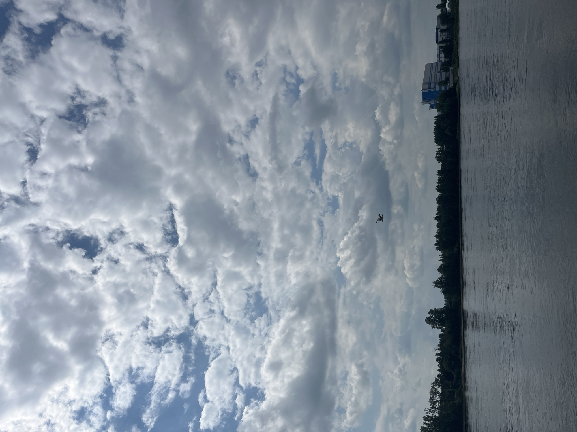 The image shows a wide, calm river with a tree-lined bank in the distance. A modern building complex with blue and white accents is visible on the right side of the far bank. The sky is filled with dramatic, scattered white and gray clouds, with patches of blue sky visible. A single bird is captured in flight in the upper right quadrant of the image. The scene suggests a view from a boat or the riverbank in the city of Imeni Sverdlova, Russia, likely during daytime.