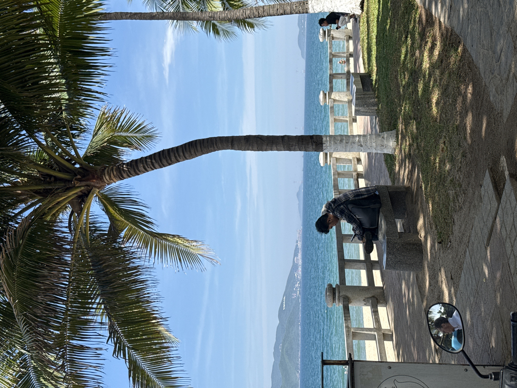 The image depicts a sunny day by the sea, likely along the beachfront promenade in Nha Trang, Vietnam. In the foreground, a motorbike's side mirror reflects a man wearing a white shirt. Dominating the left side of the frame is a tall palm tree with its fronds casting dappled shadows on the paved walkway and grassy area below.
Further into the scene, a man wearing a plaid jacket and dark pants is seated on a stone bench, engrossed in his mobile phone. He has a backpack next to him. Behind him, a concrete railing with decorative posts lines the promenade, separating it from the sandy beach and the turquoise ocean beyond. In the distance, a range of green hills with some buildings visible on their slopes forms the backdrop. Another palm tree stands on the right, and a second person is visible in the far distance, also seated on a bench. The sky is a clear blue with a few wispy clouds.