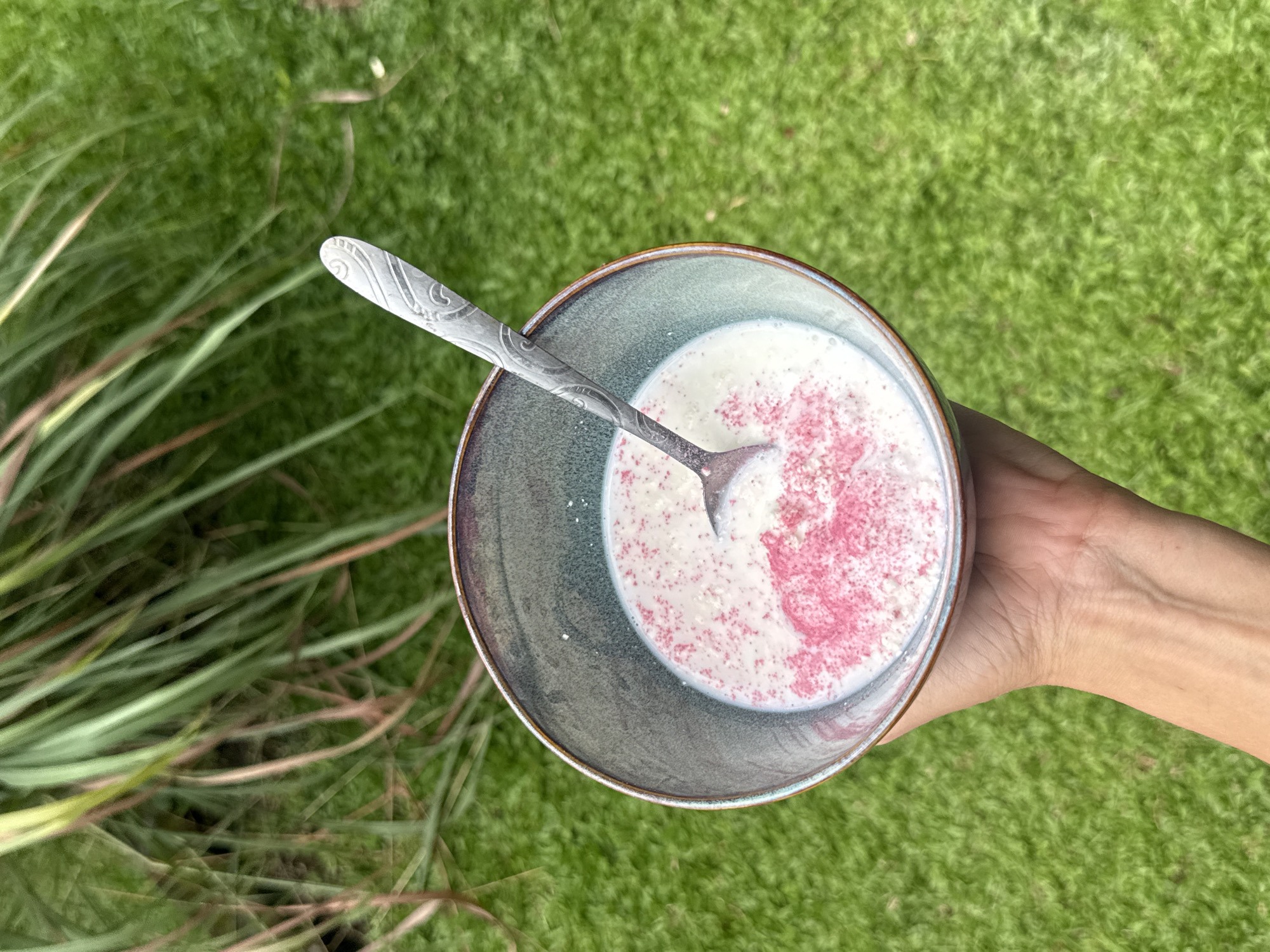A high-angle, close-up shot shows a person holding a bowl of food on a green background, likely artificial turf. The bowl is dark grey-green with a tan rim, containing a white liquid, likely milk or yogurt, sprinkled with red powder or granules. A metal spoon with a patterned handle rests inside the bowl, partially submerged in the liquid. The person's hand, holding the bowl, is visible on the right side of the frame. To the left, there are tall blades of grass. The image was taken in North Kuta, Indonesia.