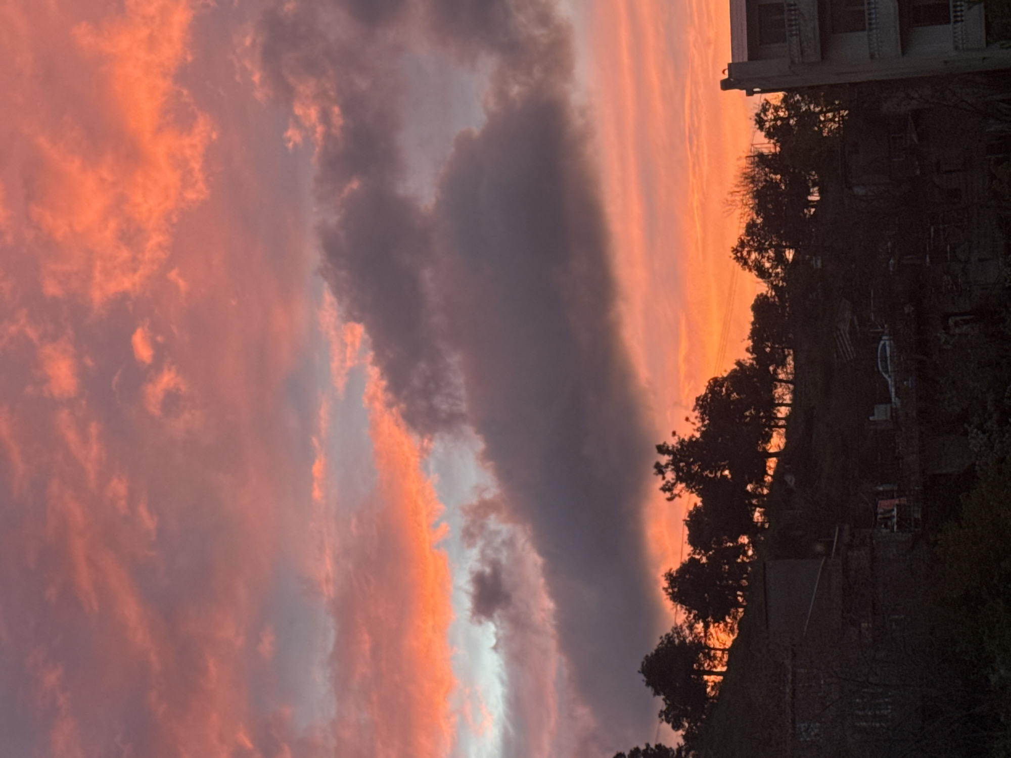 The original image is vertically oriented, capturing a vibrant sunset or sunrise sky above a silhouetted landscape. When viewed horizontally, the sky dominates the upper and central portions of the frame, showcasing a dramatic interplay of colors. Fiery oranges, deep reds, and soft pinks blend with streaks of purple and grey clouds. Some clouds are brilliantly lit by the low sun, while others are darker and more voluminous, adding texture to the expansive sky.
Below the colorful horizon, a dark silhouette of a natural and built environment unfolds. Numerous trees, dense with foliage, form an irregular treeline, suggesting a hillside. Among these trees, several structures are visible, mostly in deep shadow. On the right, a multi-story building with distinct window frames and balconies stands out, its details obscured by the low light. Further down and to the left, other indistinct outlines suggest additional buildings or fences. A subtle, lighter shape within the dark foreground might be a parked vehicle.
The vibrant hues of the sky firmly place the scene at either dawn or dusk, creating a tranquil yet powerful atmosphere. The image primarily focuses on the aesthetic beauty of this natural phenomenon, with no discernible human activity or visible text.