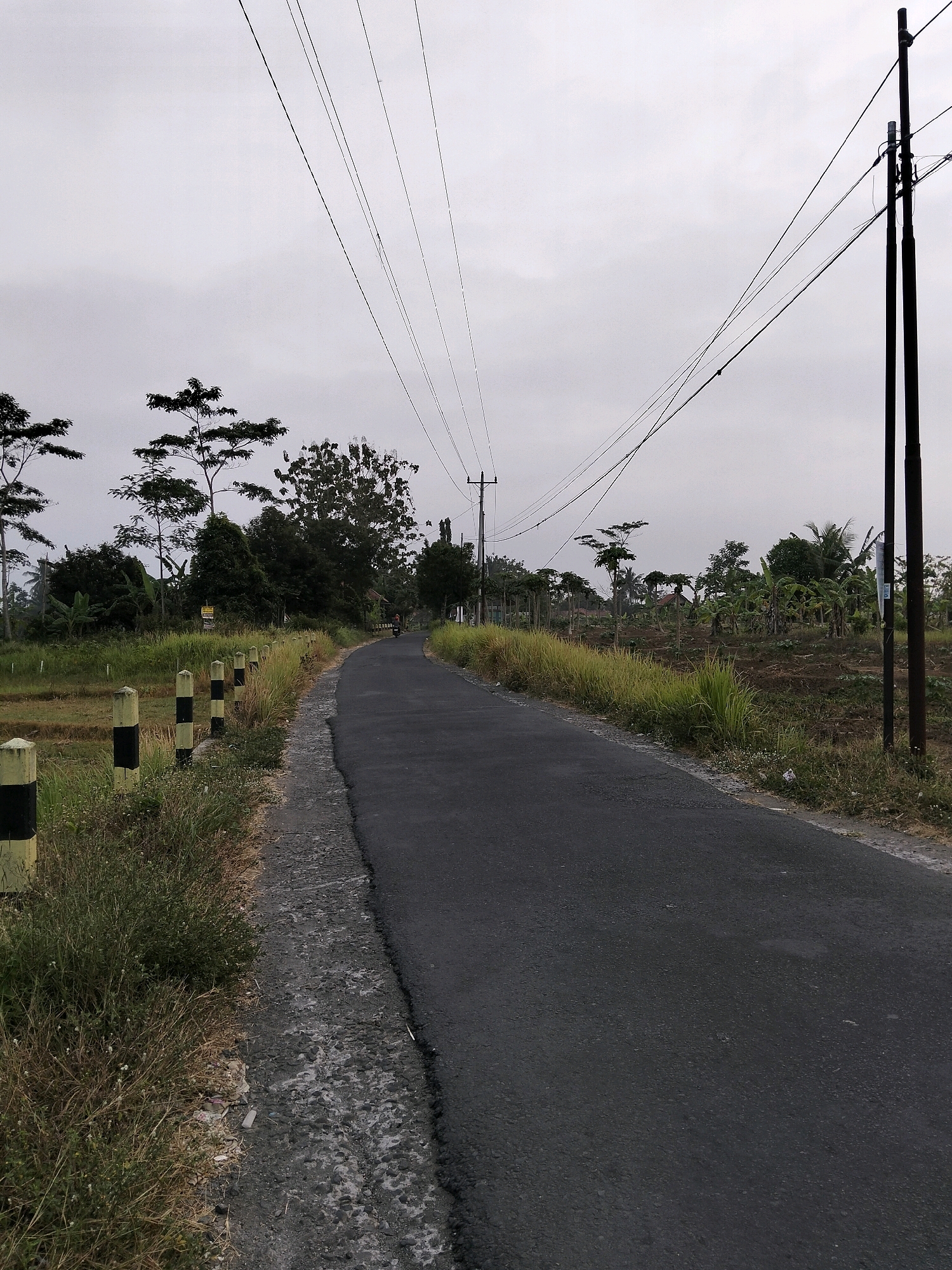 The image depicts a rural road in Purworejo, Indonesia, on an overcast day. The road is paved and curves to the left, with a grassy shoulder on the left side marked by a line of yellow and black striped posts. To the left of the road, there is a field with some vegetation. On the right side of the road, there are agricultural fields with young plants and some trees. Utility poles with overhead wires are visible on both sides of the road, stretching across the frame. A single person is seen riding a motorcycle in the distance on the right side of the road, moving away from the viewer. The overall environment suggests a typical rural landscape in the Indonesian countryside.