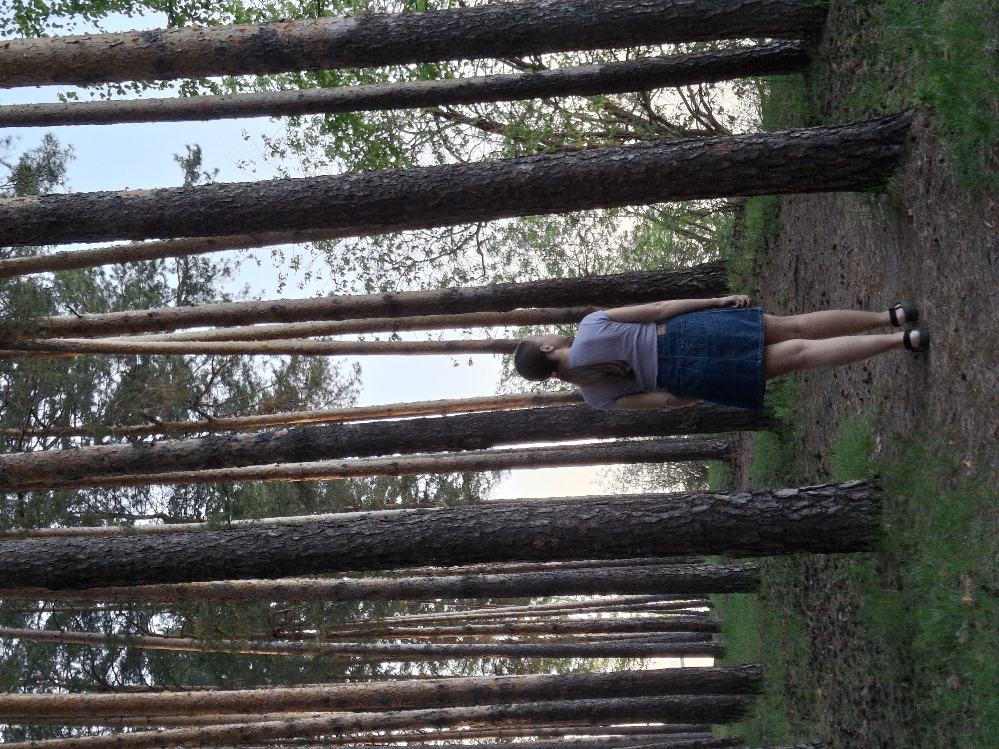The image shows a woman standing on a dirt path in a pine forest. She is wearing a short denim skirt and a light purple T-shirt, along with black sandals. The tall pine trees are arranged in rows, creating a structured view of the forest. The path she is standing on is narrow and dirt-covered, with grass visible on either side. The scene appears to be taken in Chaikovsky, Russia.